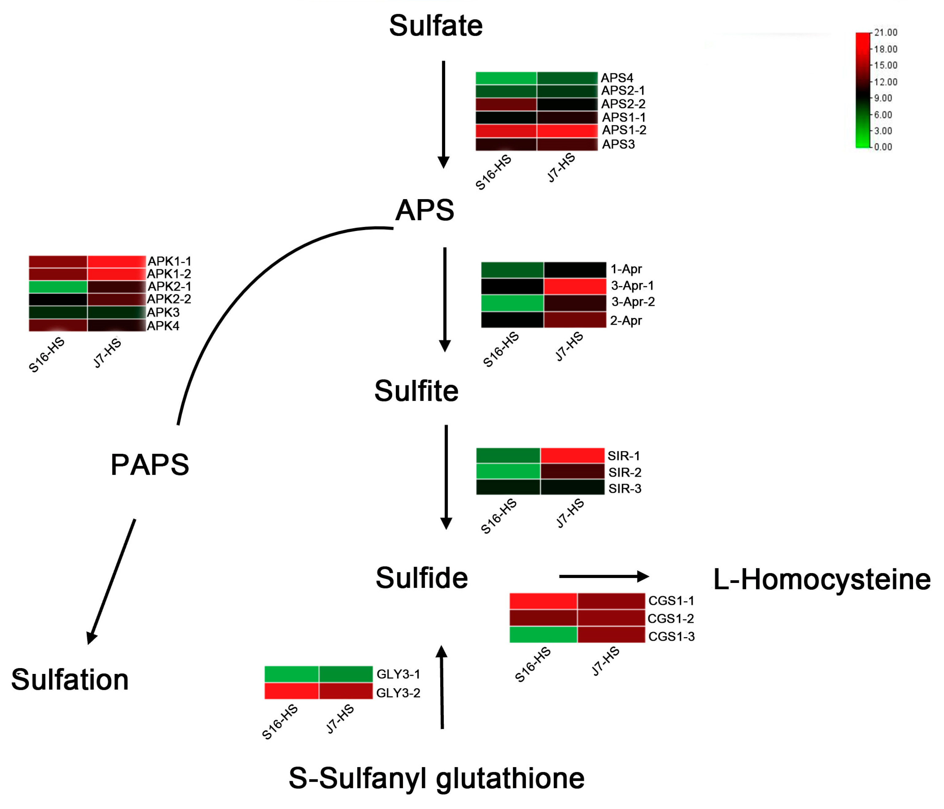 Plants 13 01093 g005