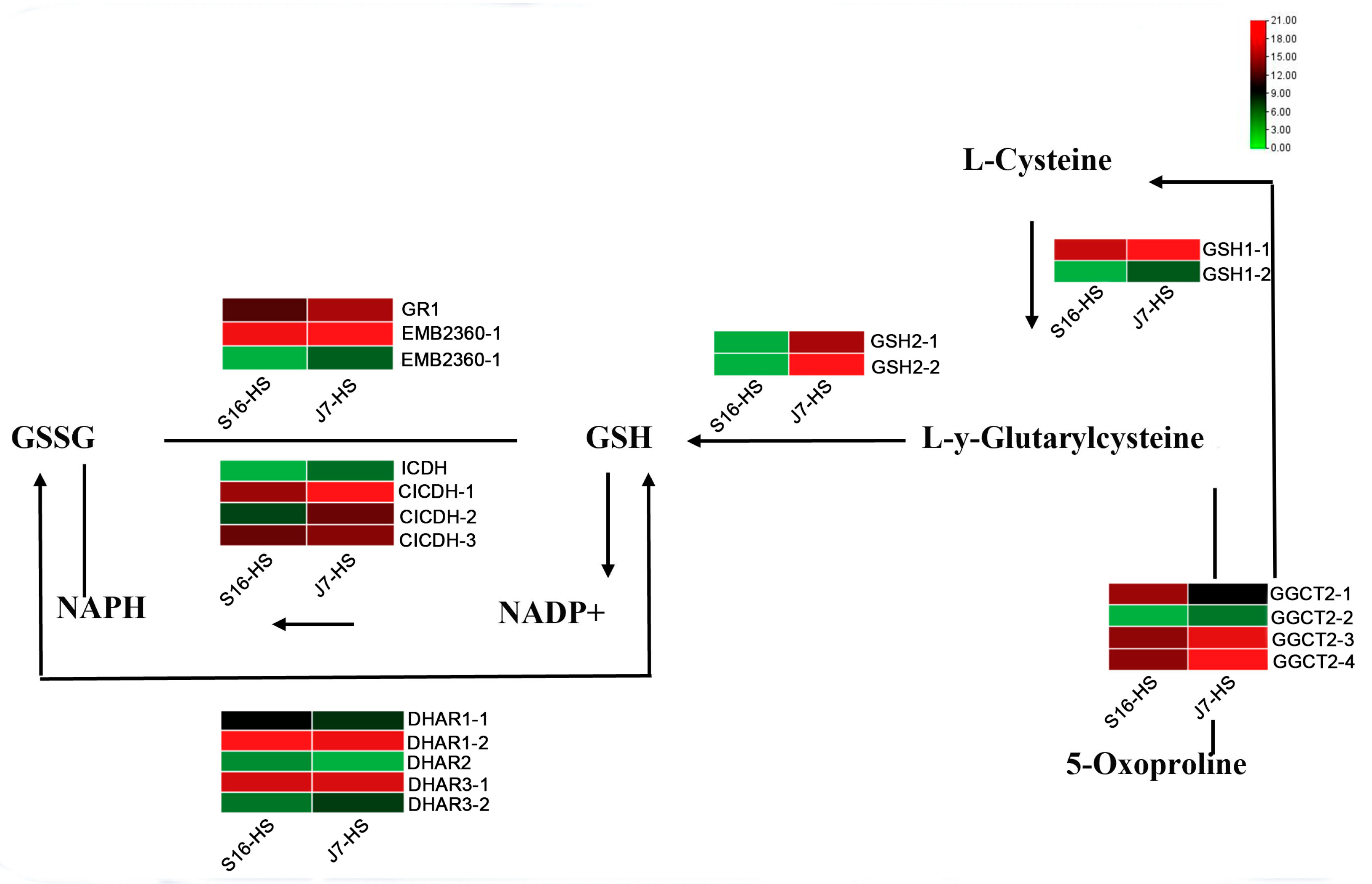 Plants 13 01093 g006