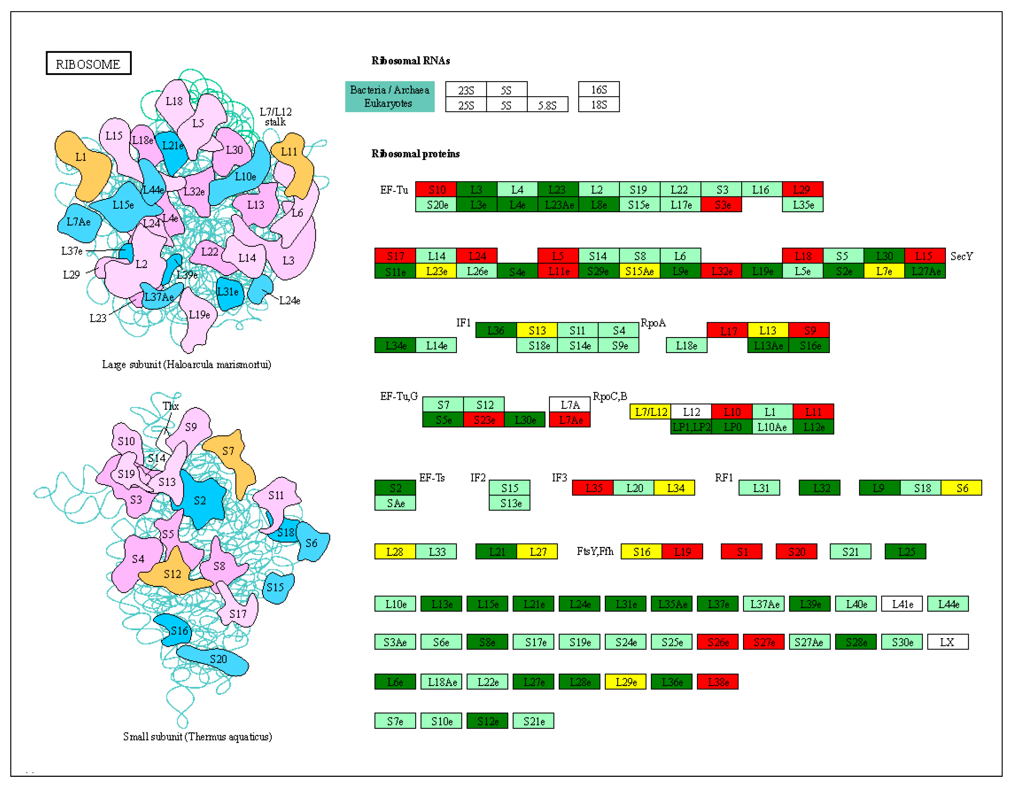 Plants 13 01093 g007