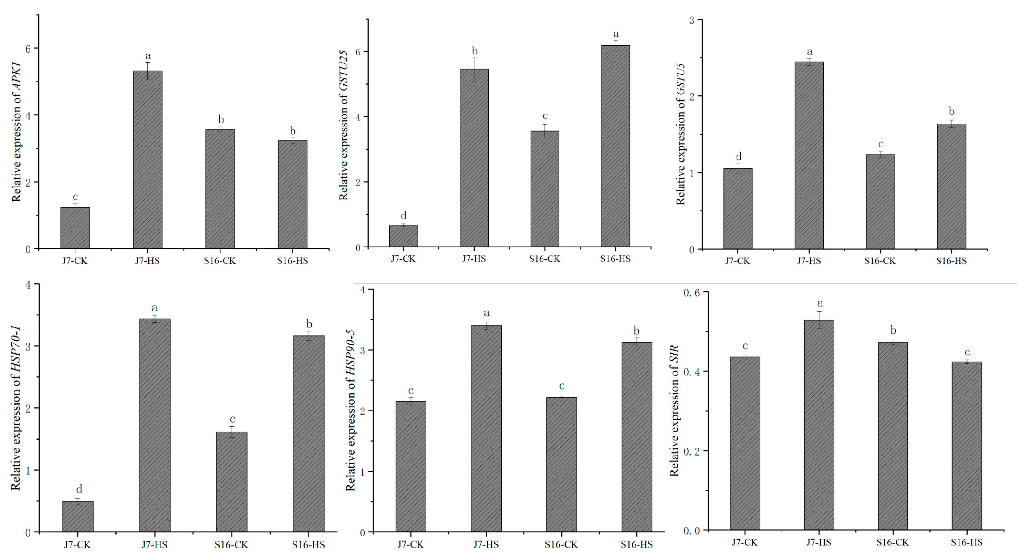 Plants 13 01093 g008