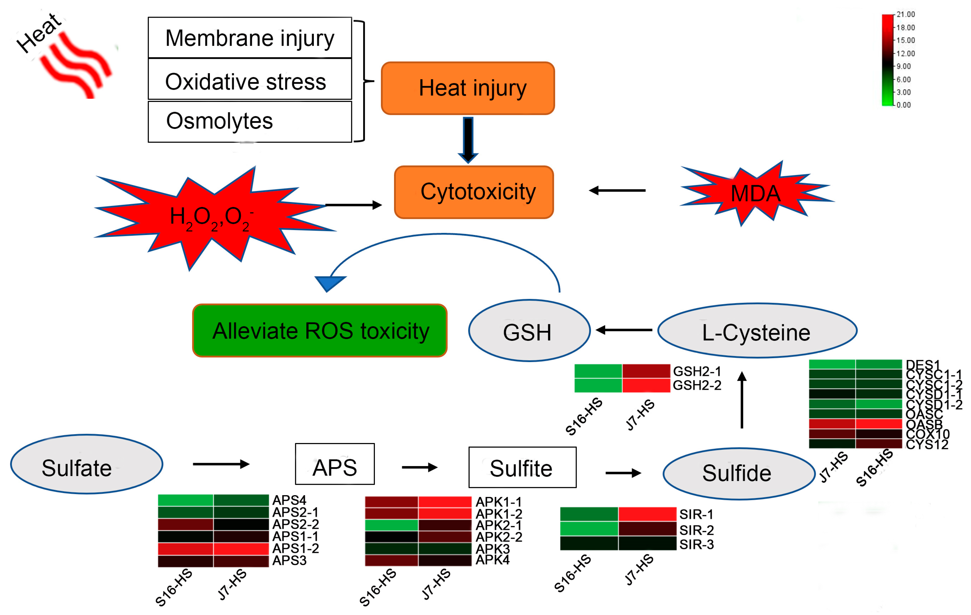 Plants 13 01093 g009
