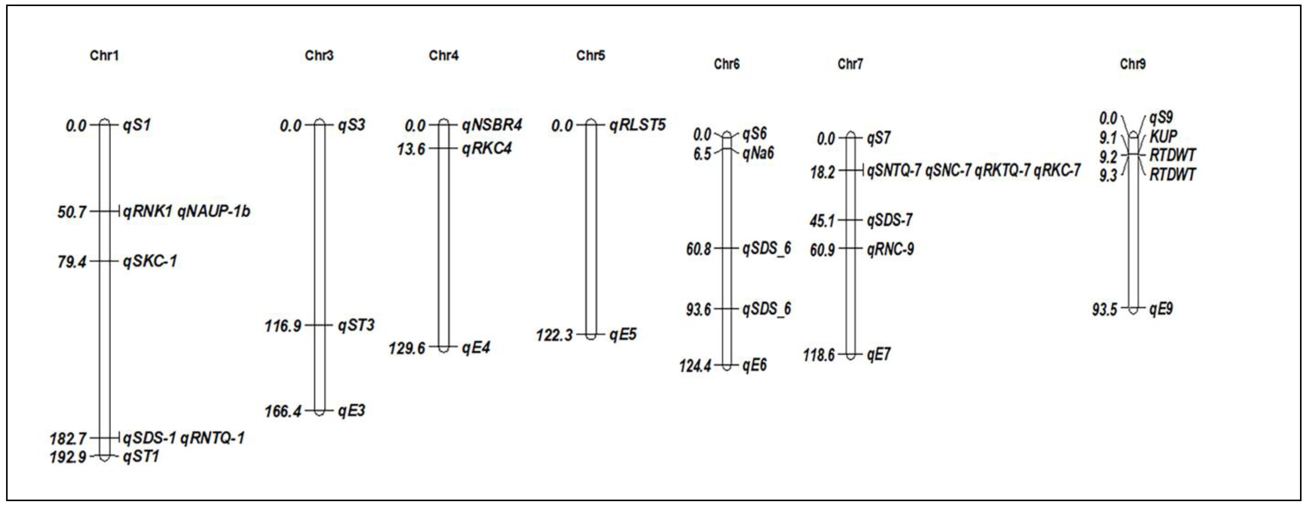 Plants 13 01099 g002