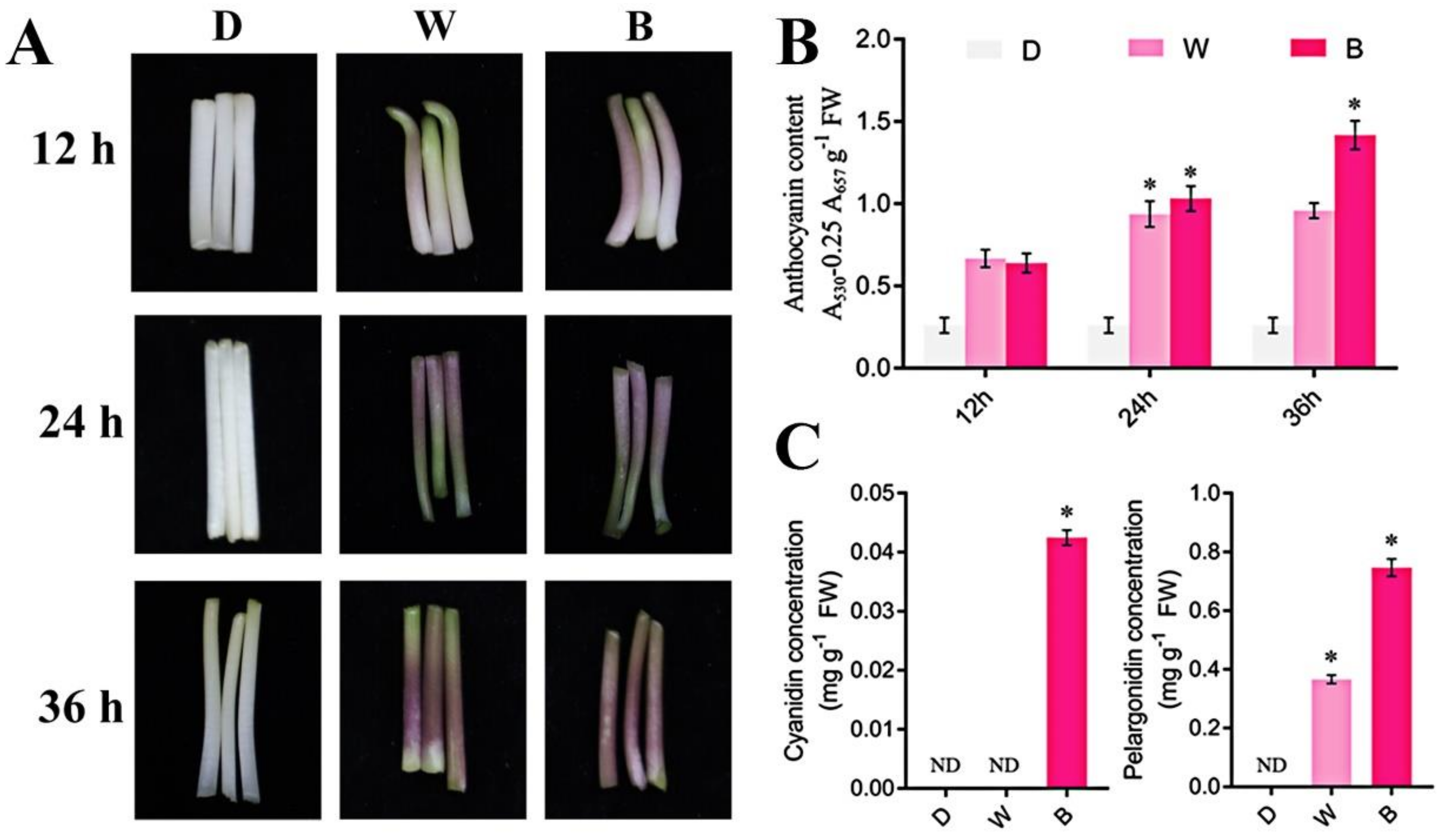 Plants 13 01107 g001