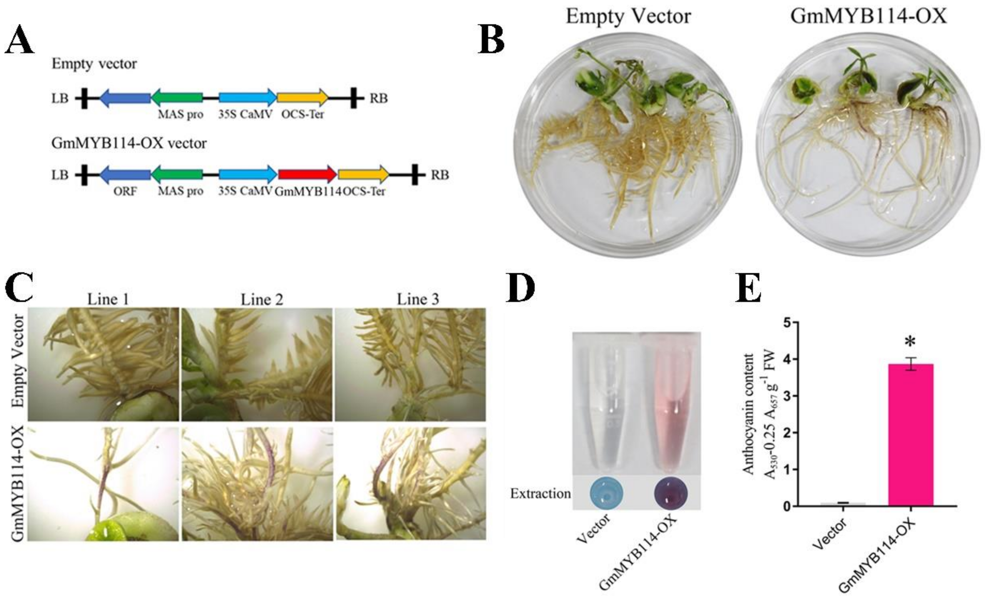 Plants 13 01107 g003