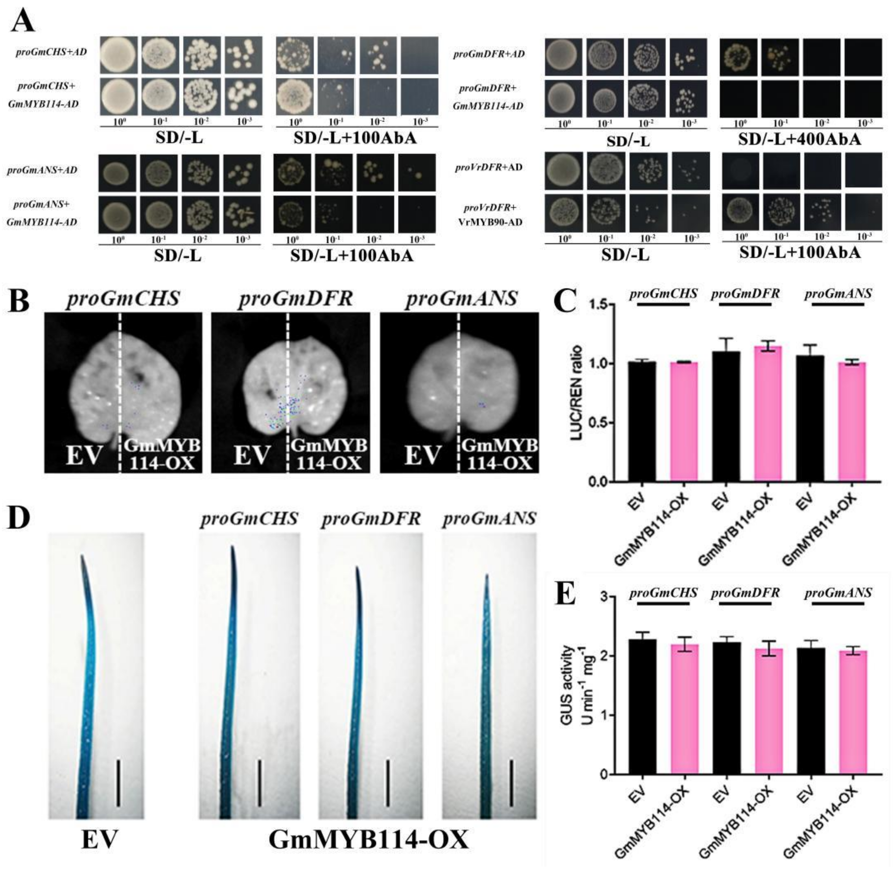 Plants 13 01107 g005