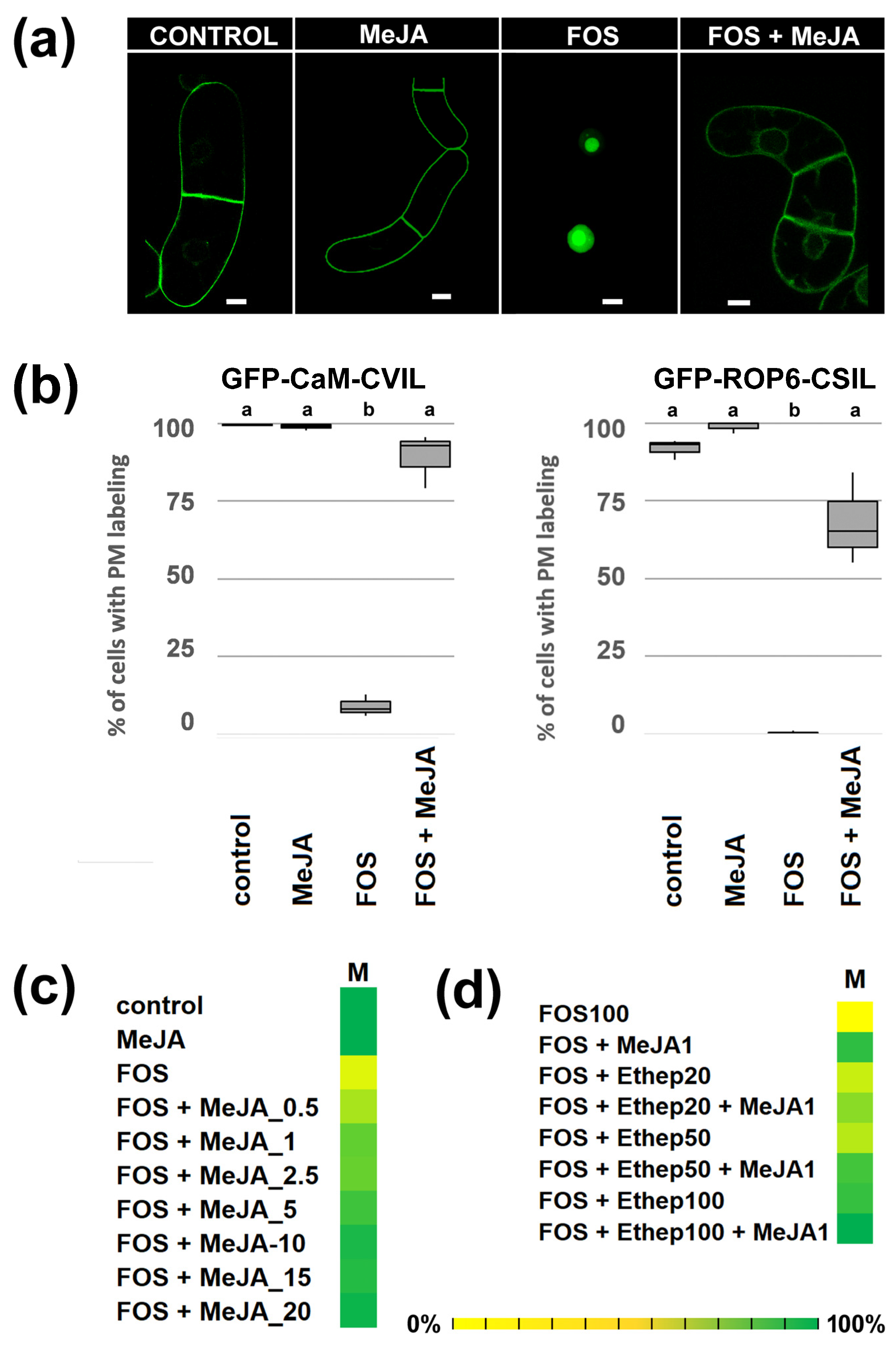 Plants 13 01110 g001 Plants 13 01110 g001