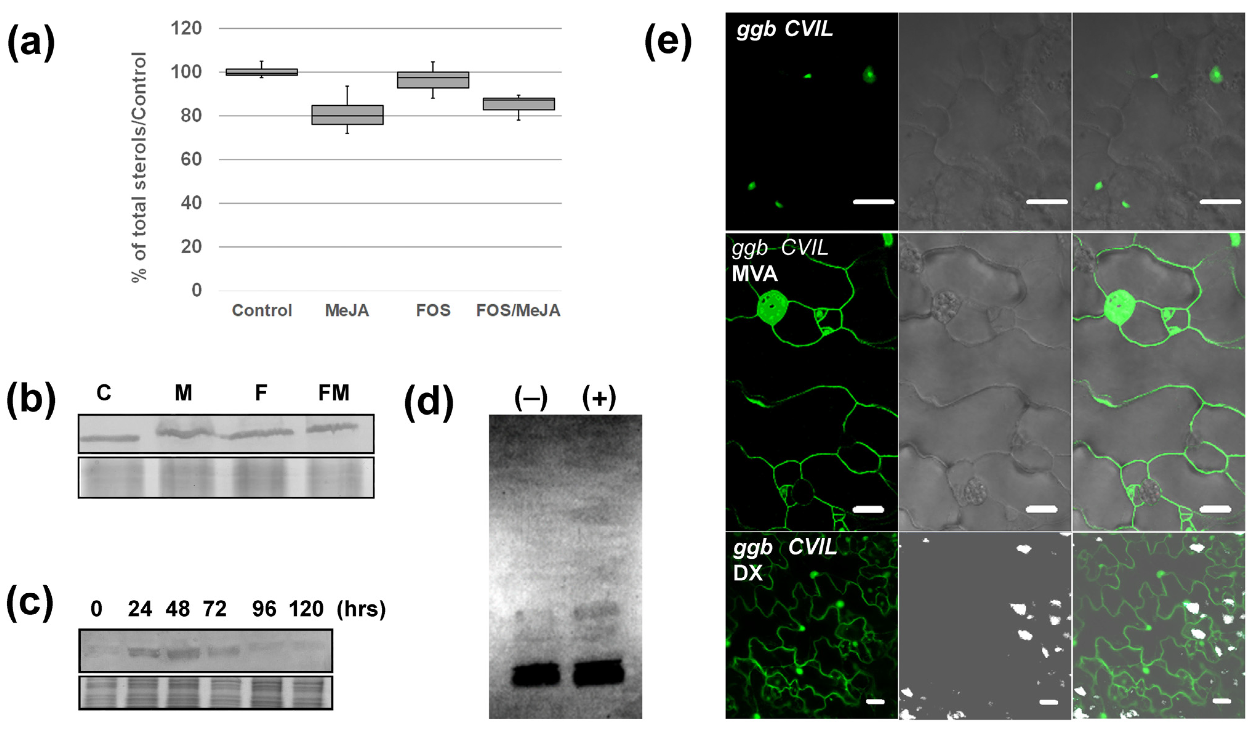 Plants 13 01110 g005 Plants 13 01110 g005