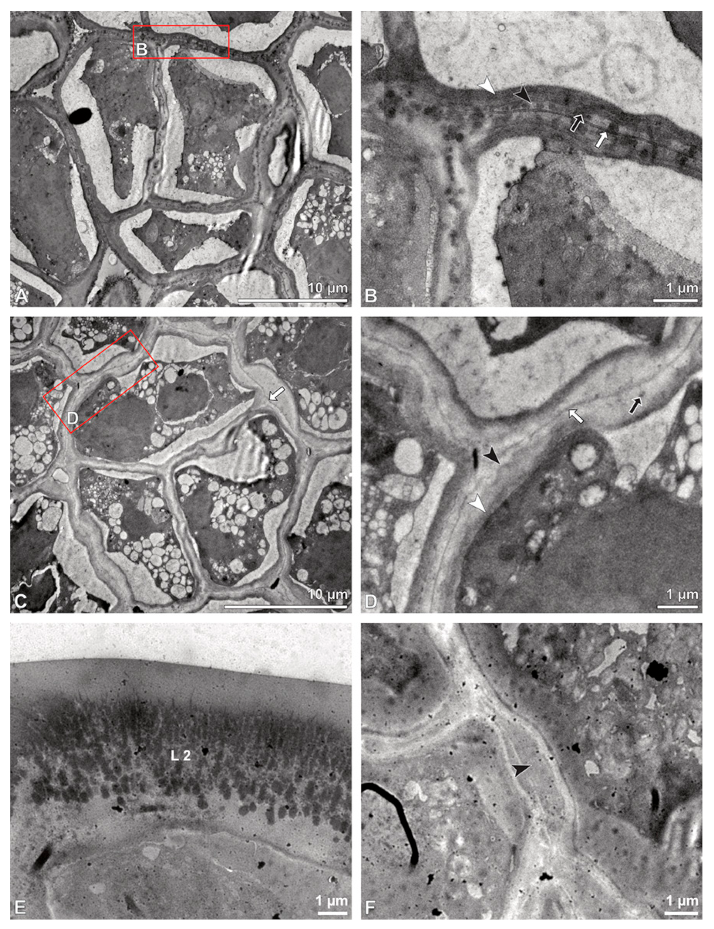 Plants 13 01114 g023