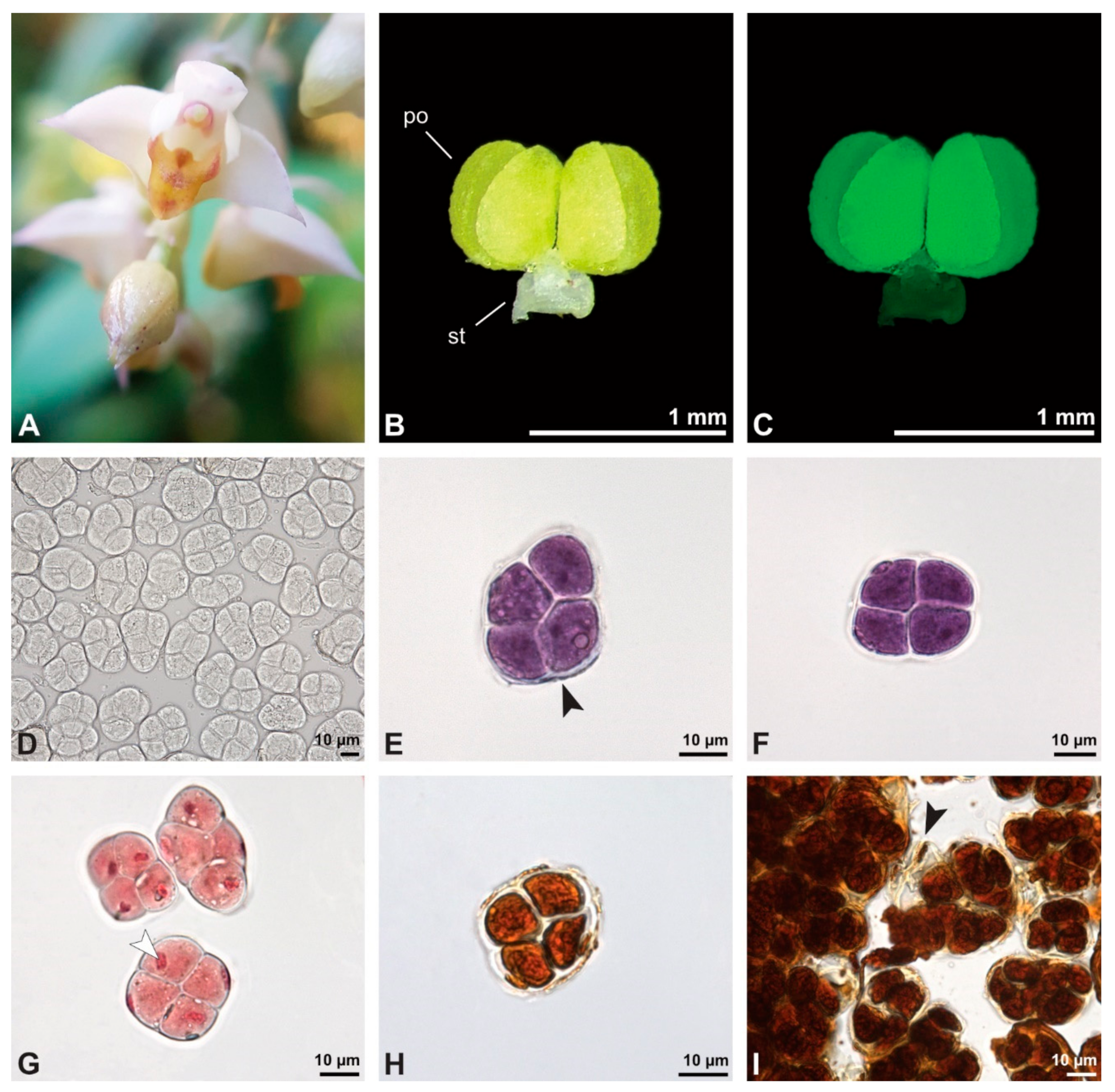 Plants 13 01114 g025