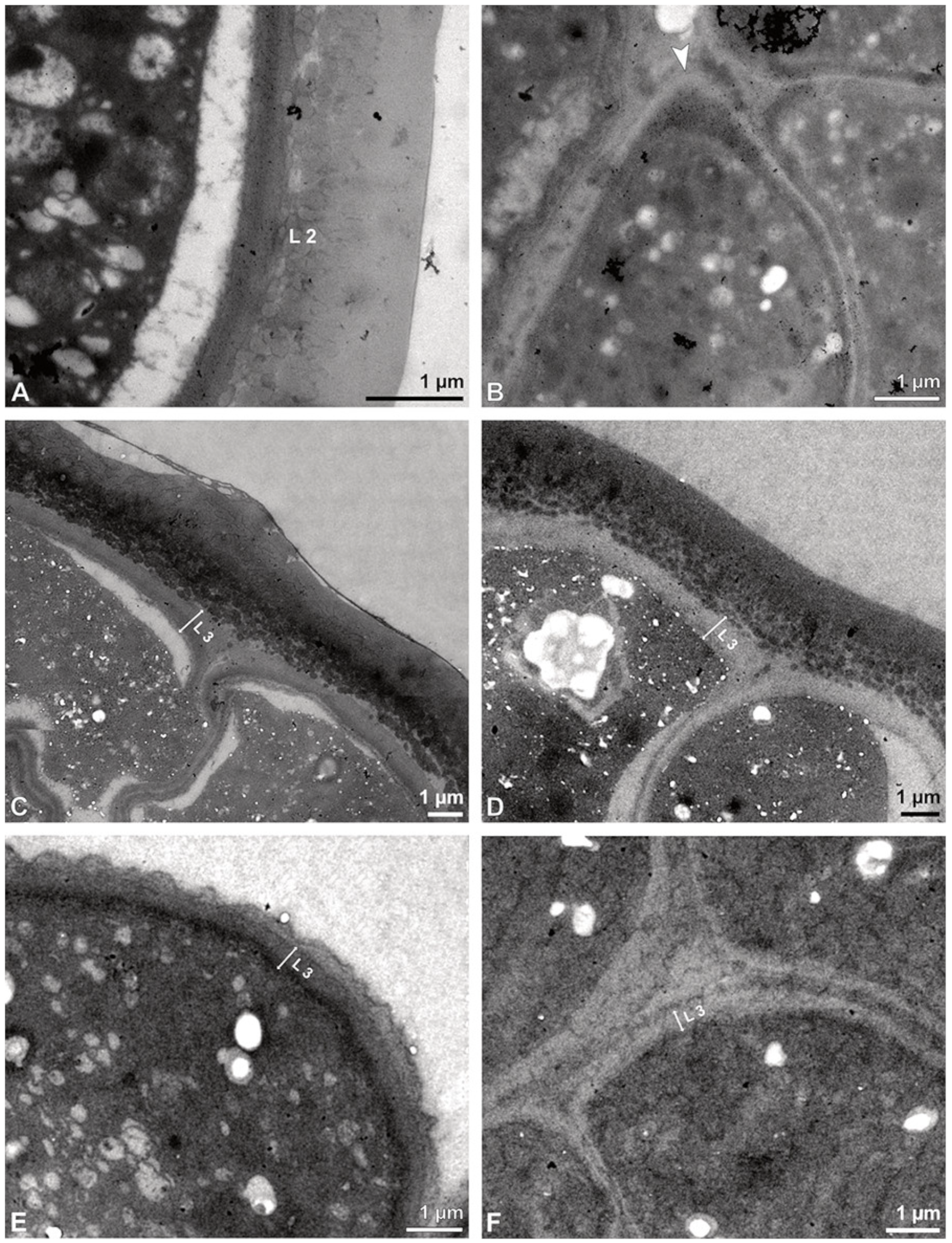 Plants 13 01114 g030