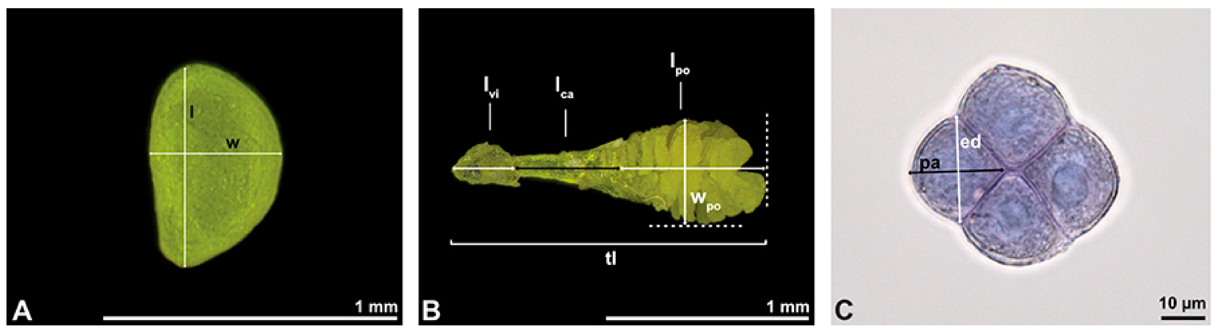 Plants 13 01114 g032