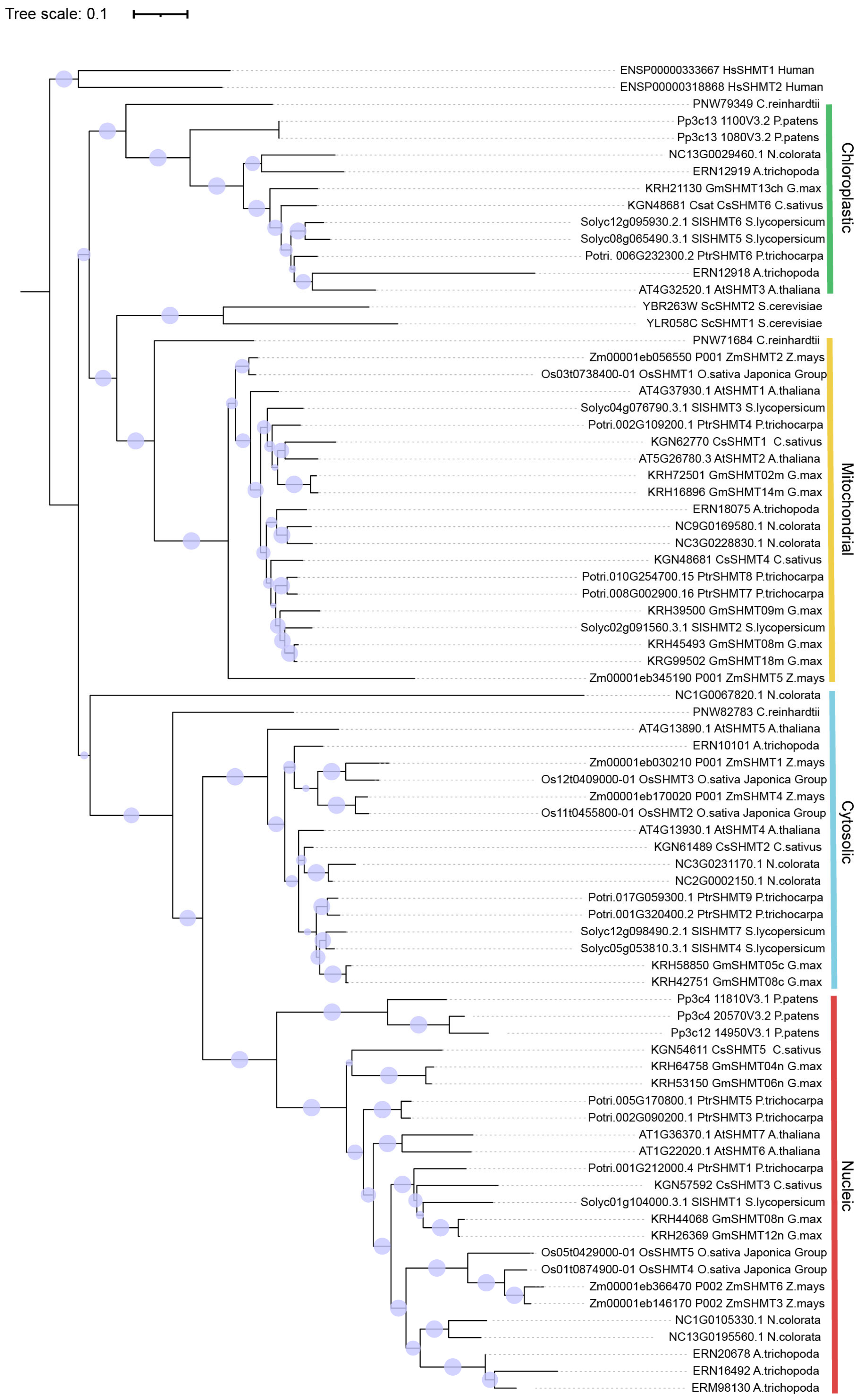 Plants 13 01116 g002 Plants 13 01116 g002