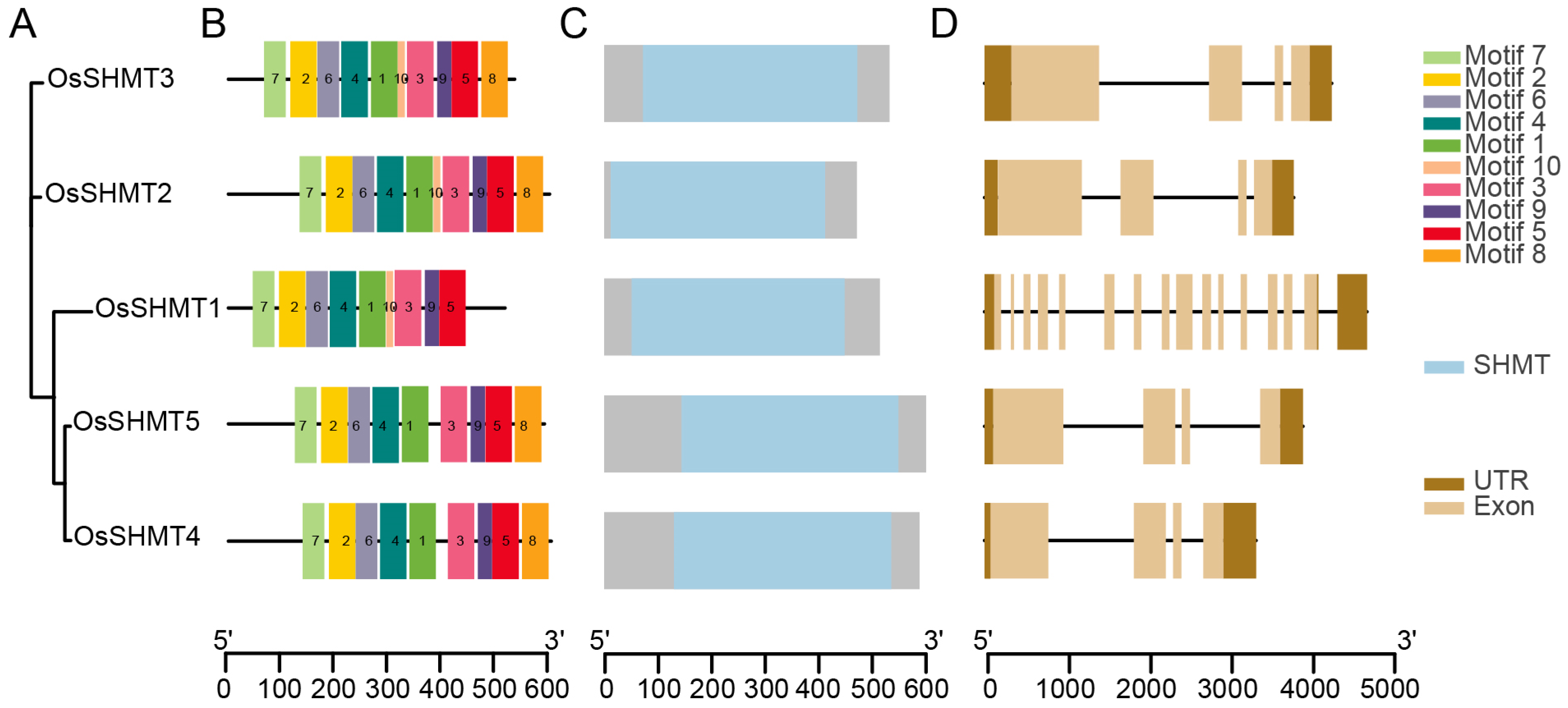 Plants 13 01116 g003 Plants 13 01116 g003