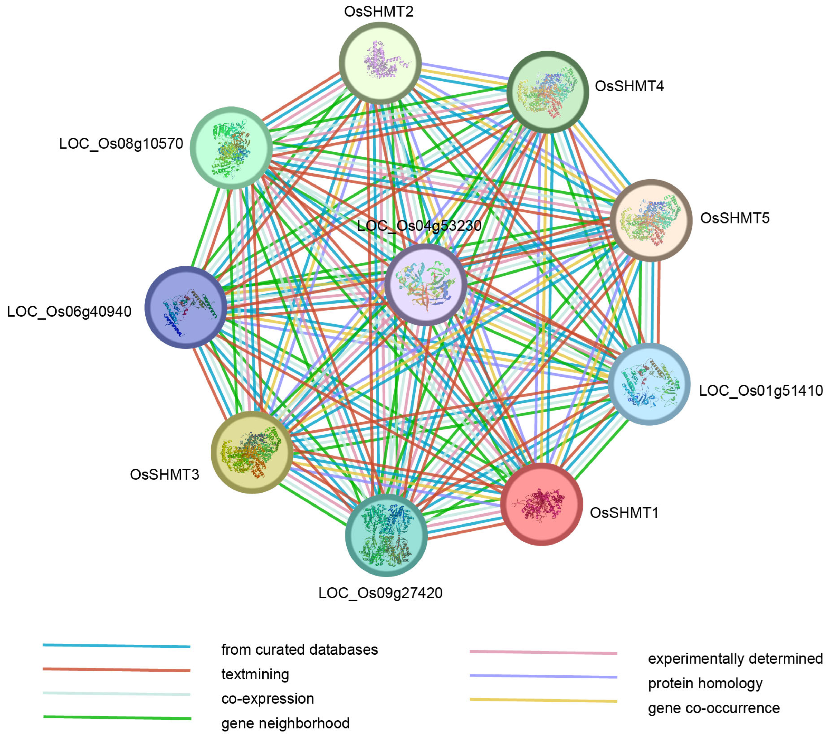 Plants 13 01116 g007 Plants 13 01116 g007