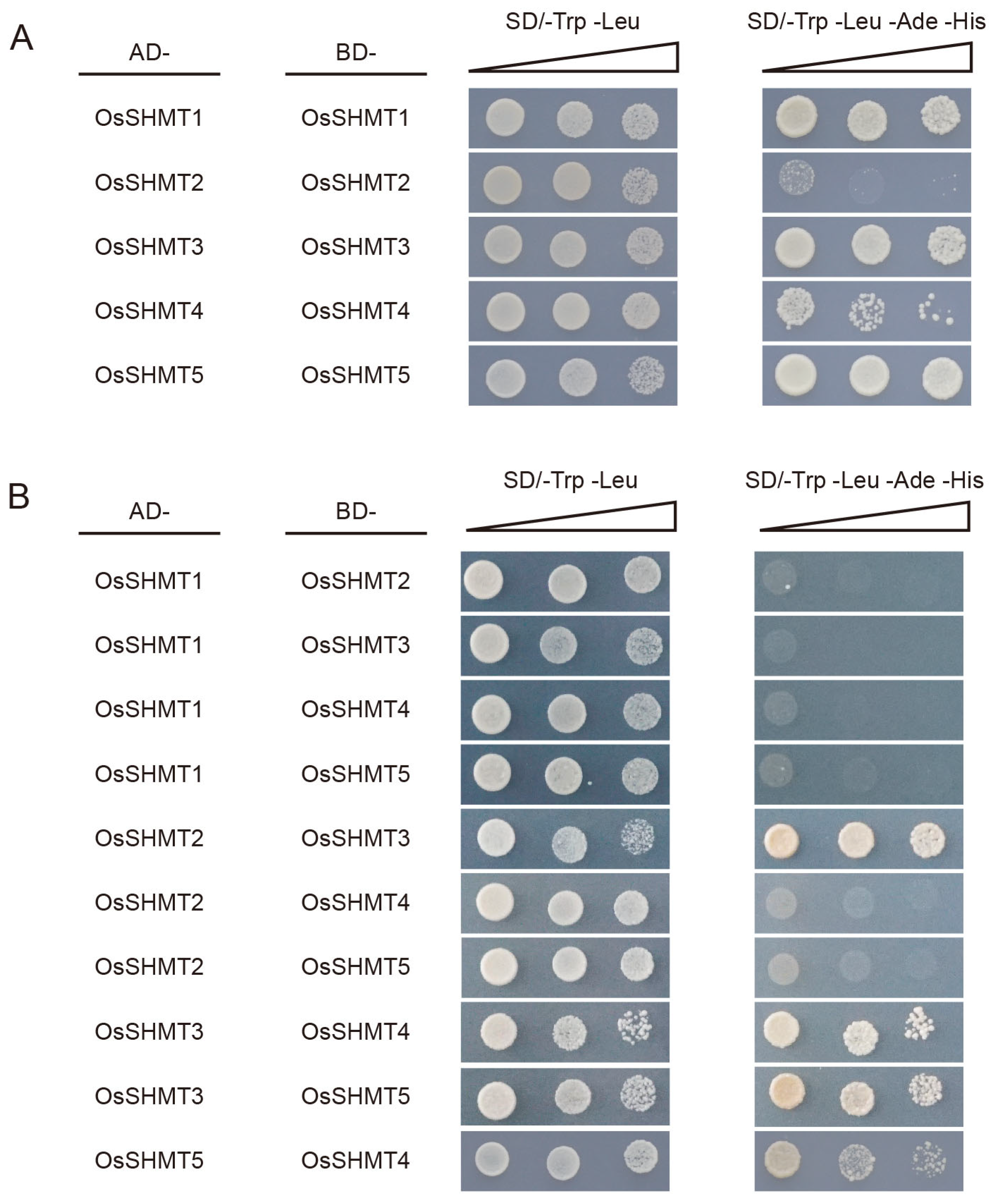 Plants 13 01116 g008 Plants 13 01116 g008