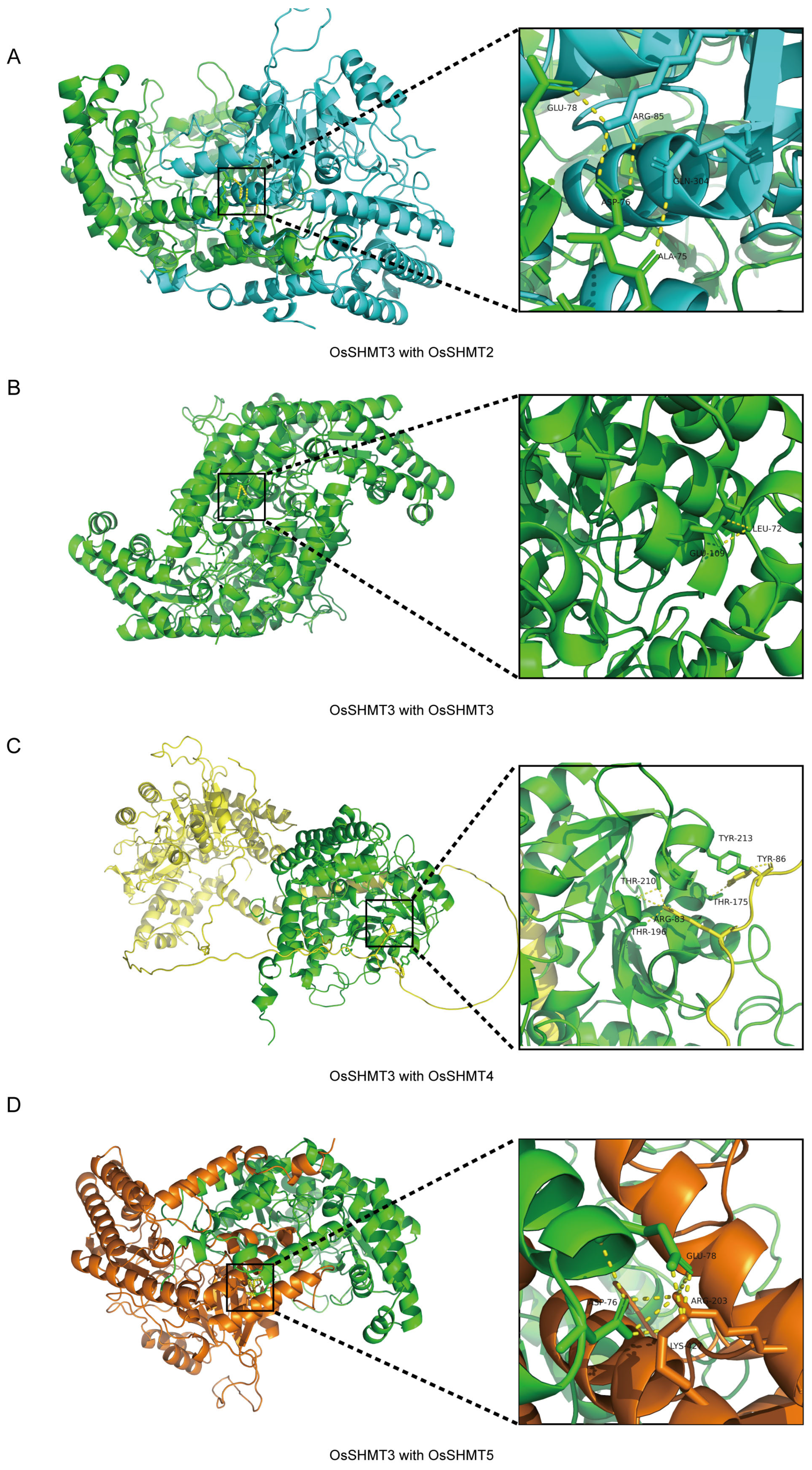 Plants 13 01116 g009 Plants 13 01116 g009