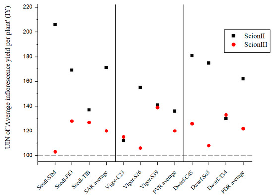 The Efficiency of CBD Production Using Grafted Cannabis sativa L. Plants Is  Highly Dependent on the Type of Rootstock: A Study