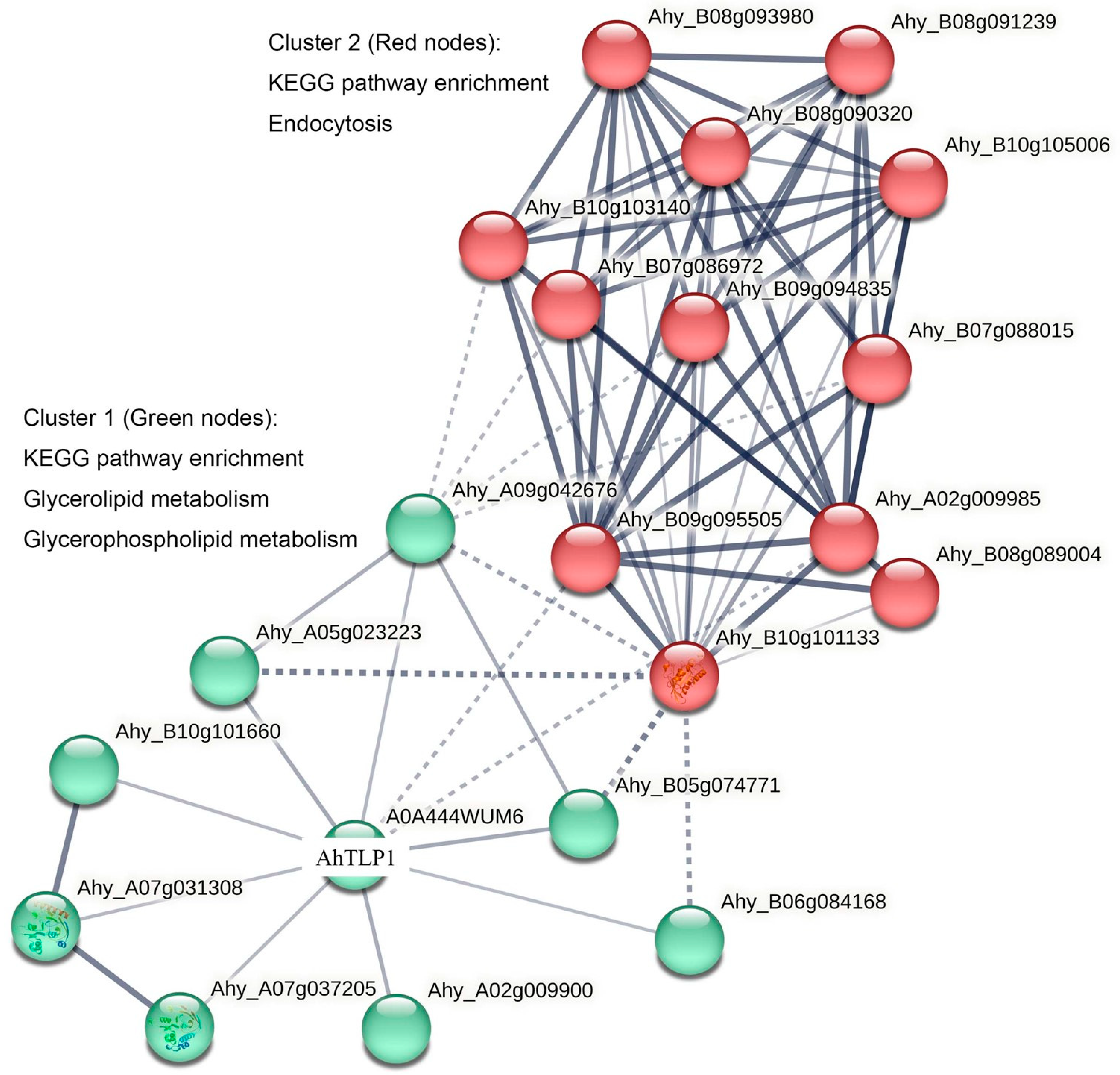 Plants 13 01124 g003