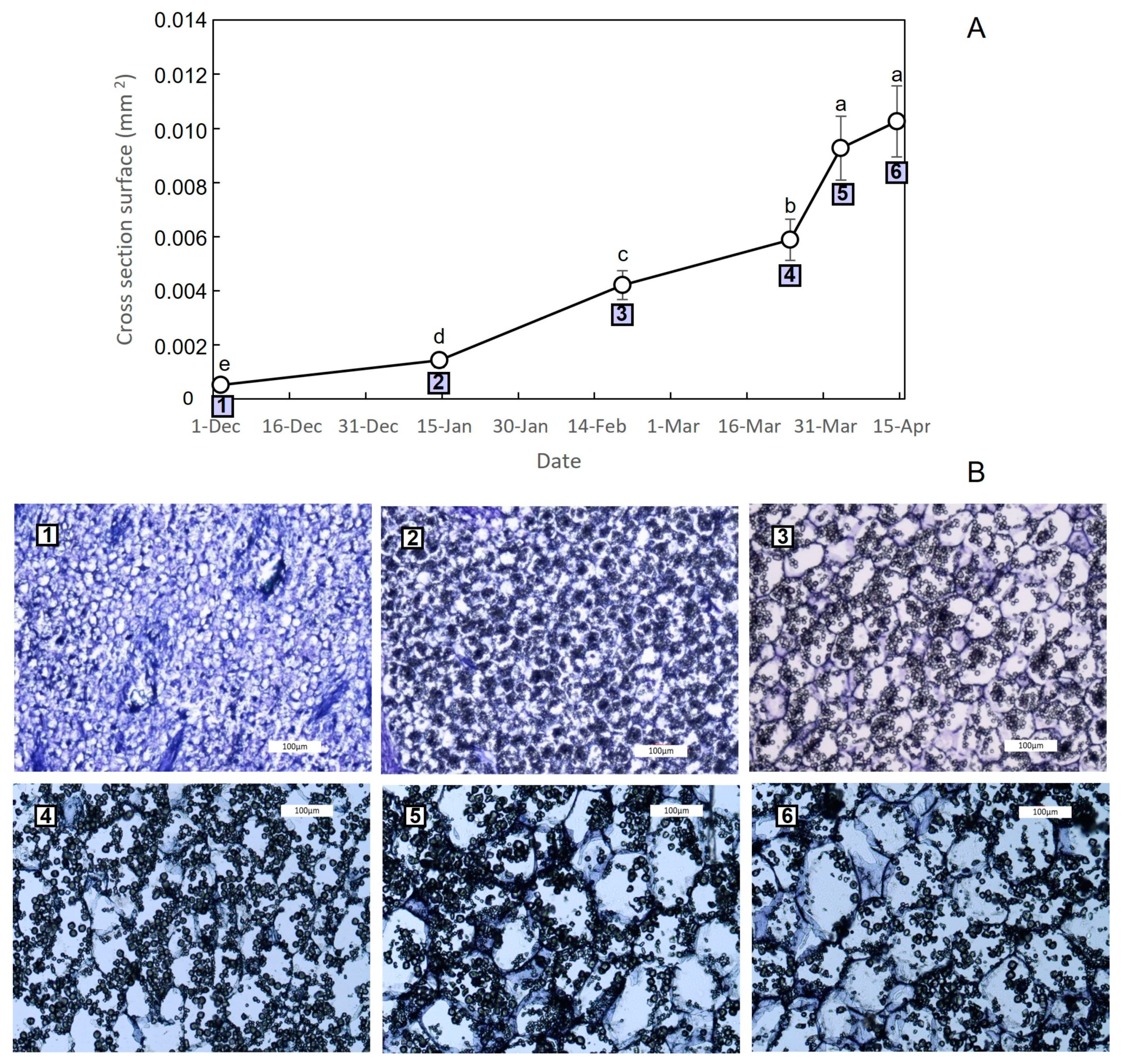Plants 13 01125 g004