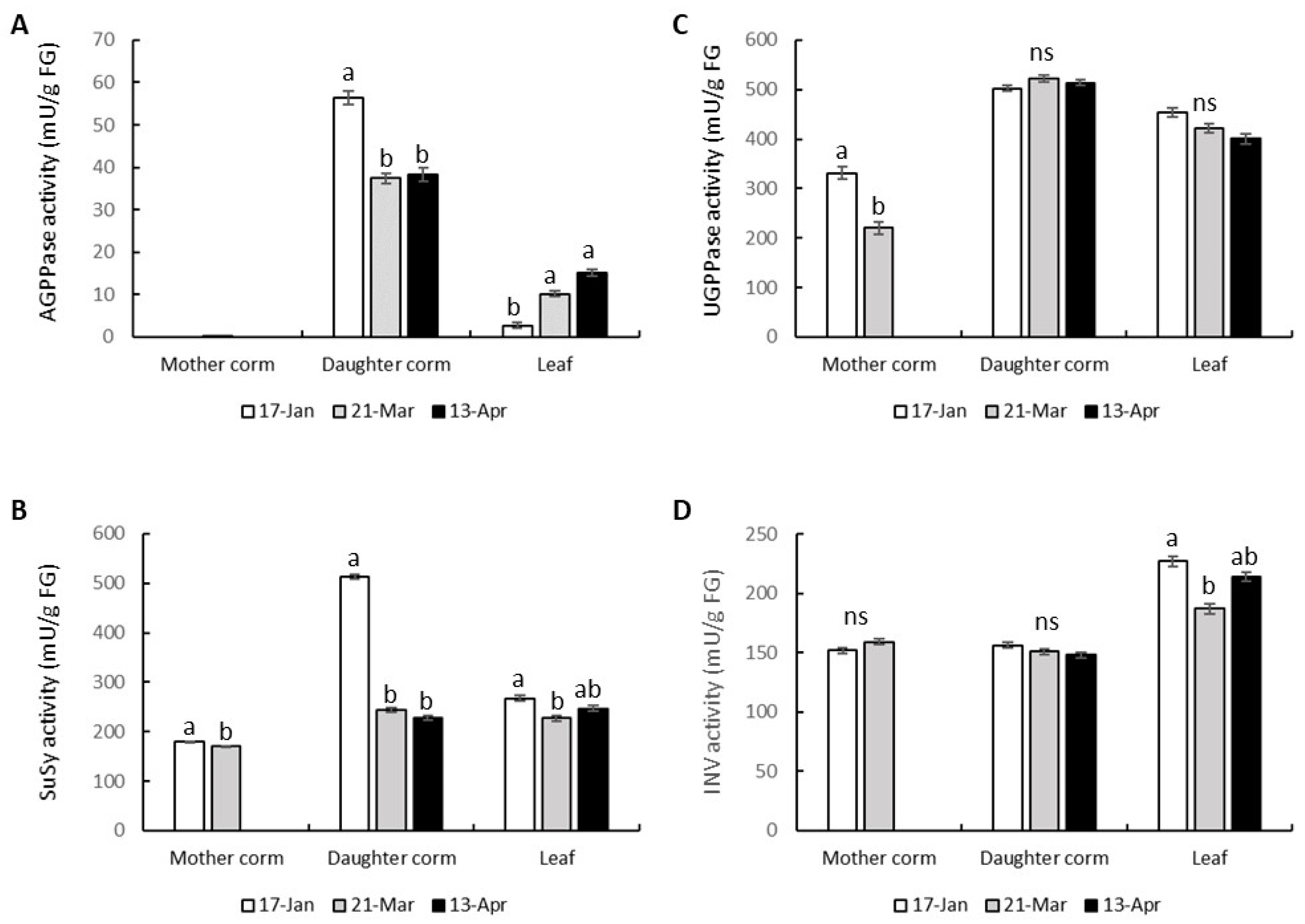 Plants 13 01125 g008