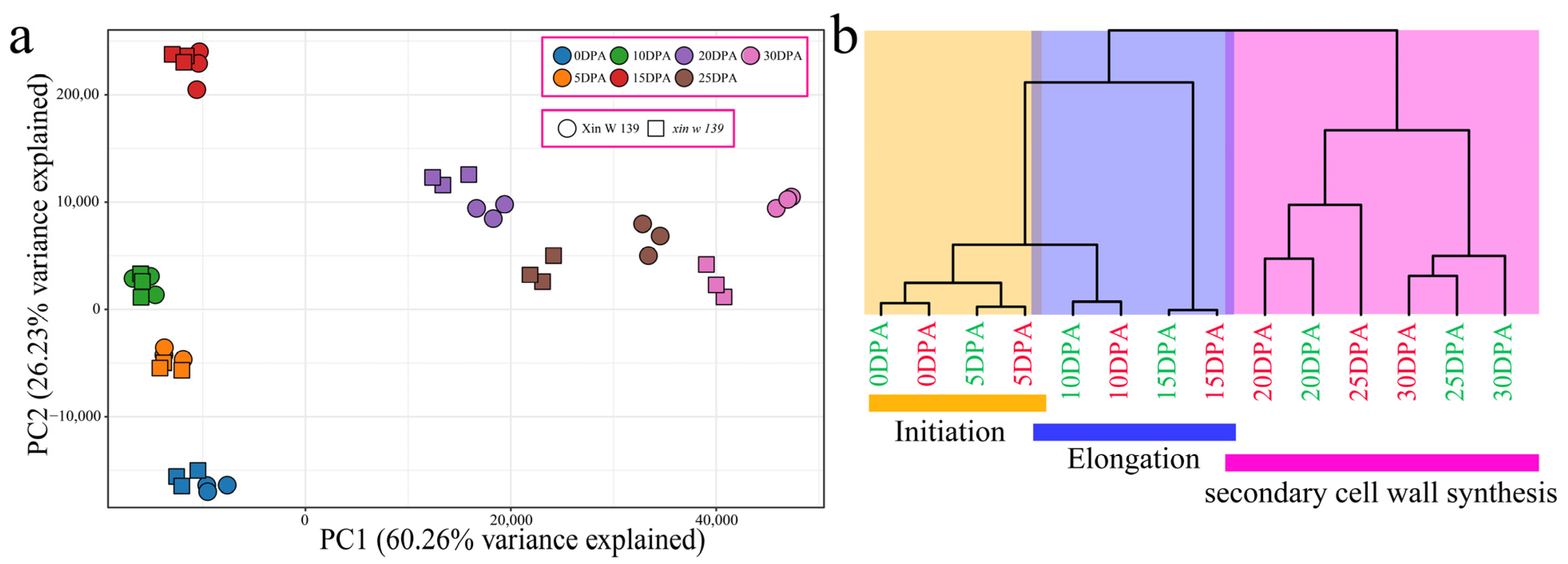 Plants 13 01127 g002