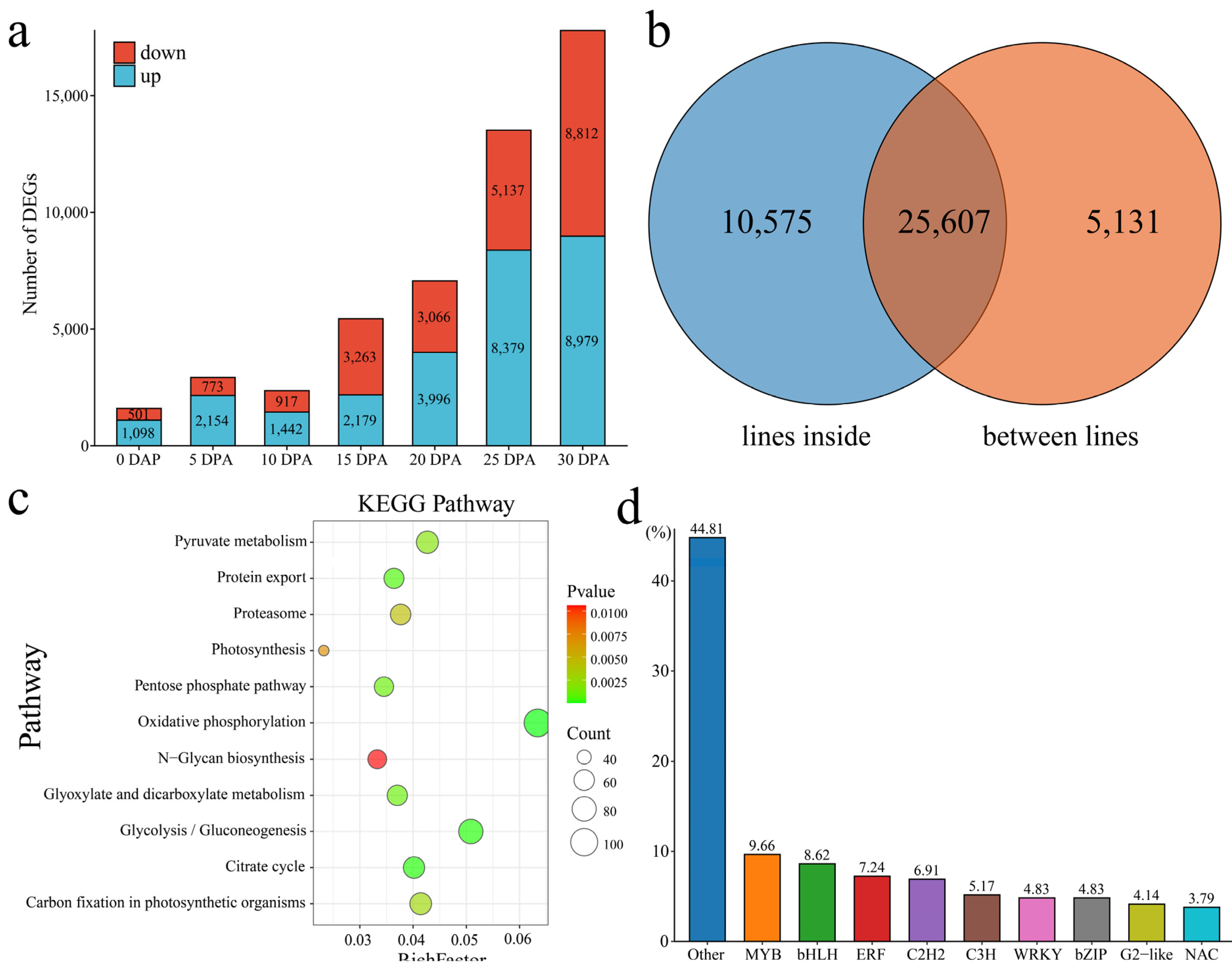 Plants 13 01127 g005