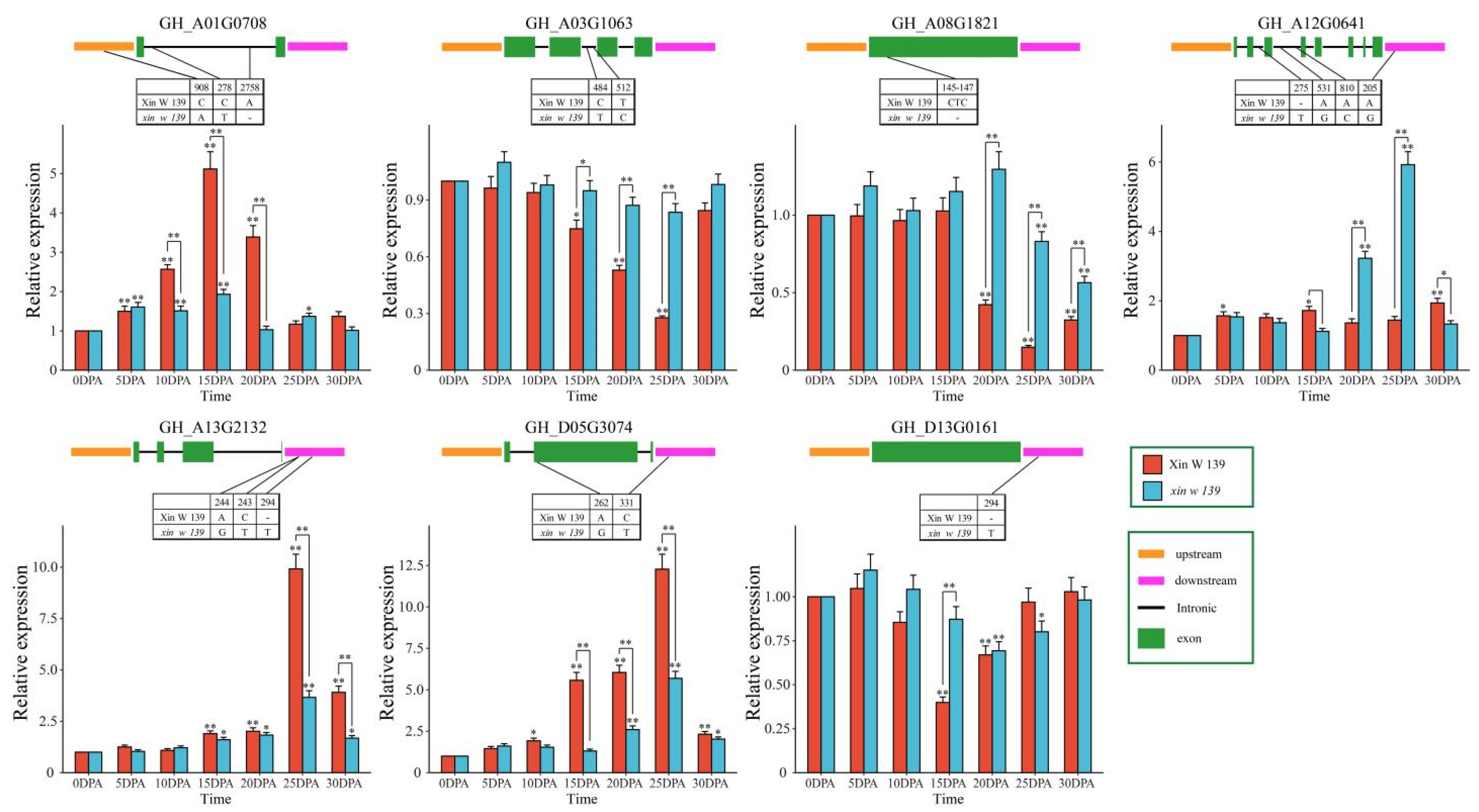 Plants 13 01127 g008