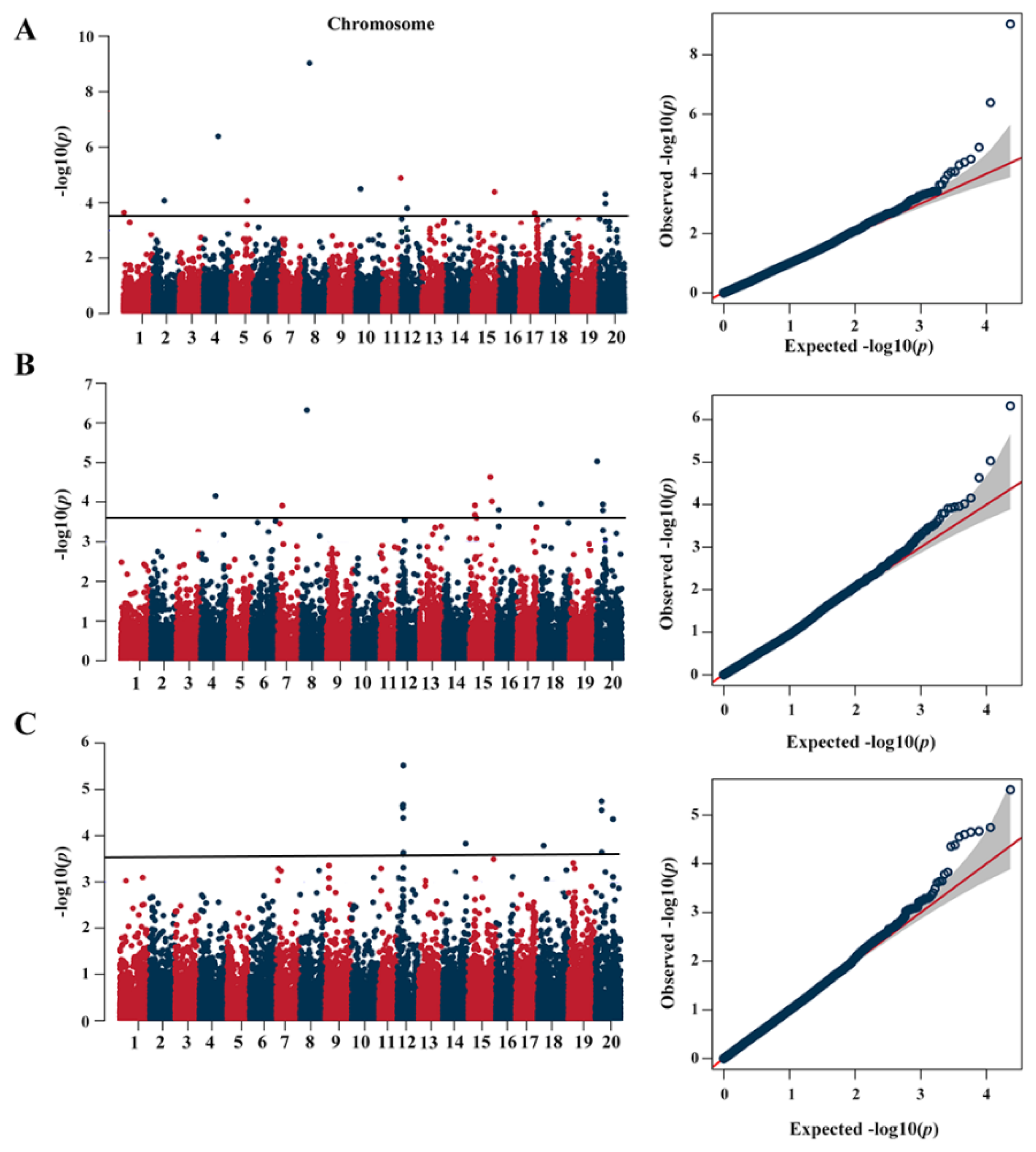 Plants 13 01128 g002