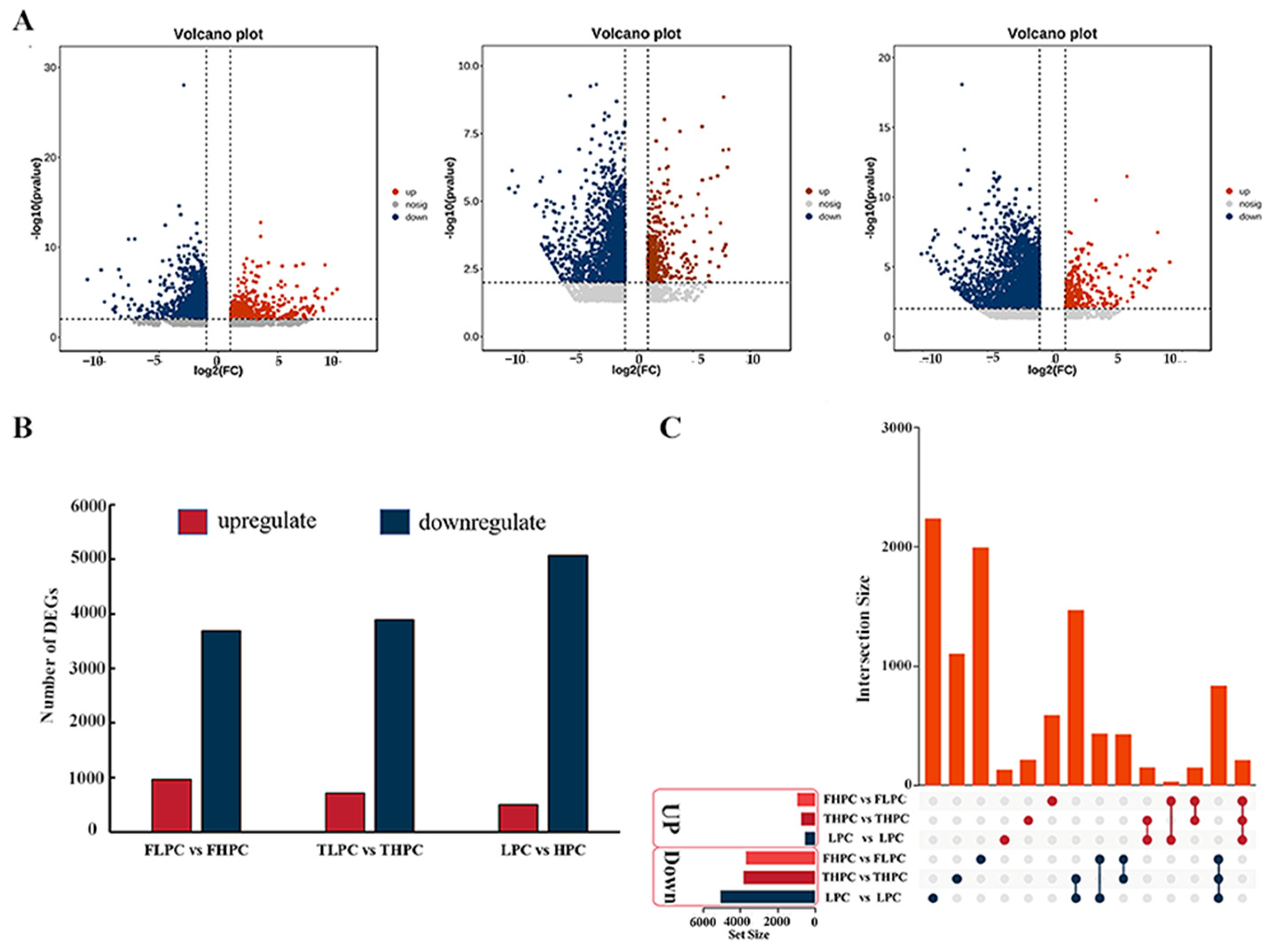 Plants 13 01128 g003
