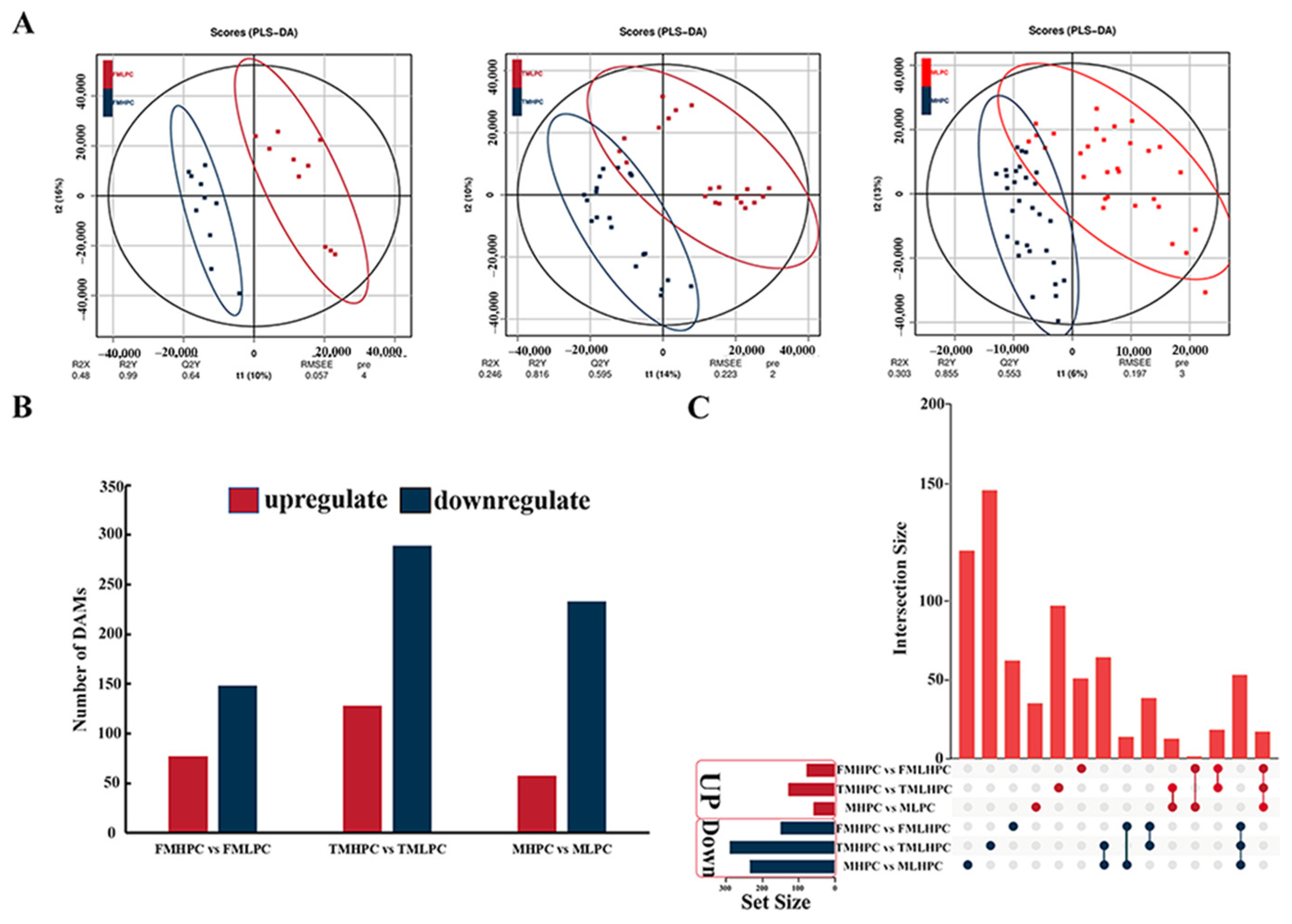Plants 13 01128 g004