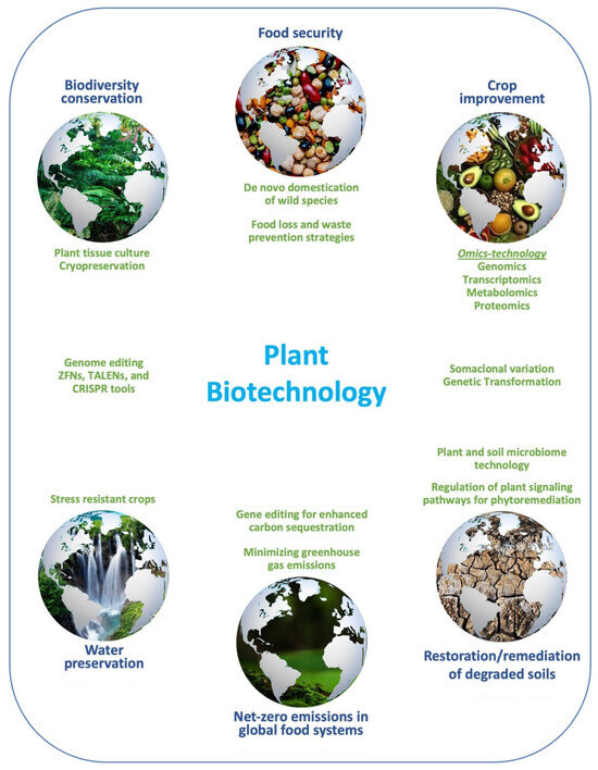 Plant Biotechnology—An Indispensable Tool for Crop Improvement
