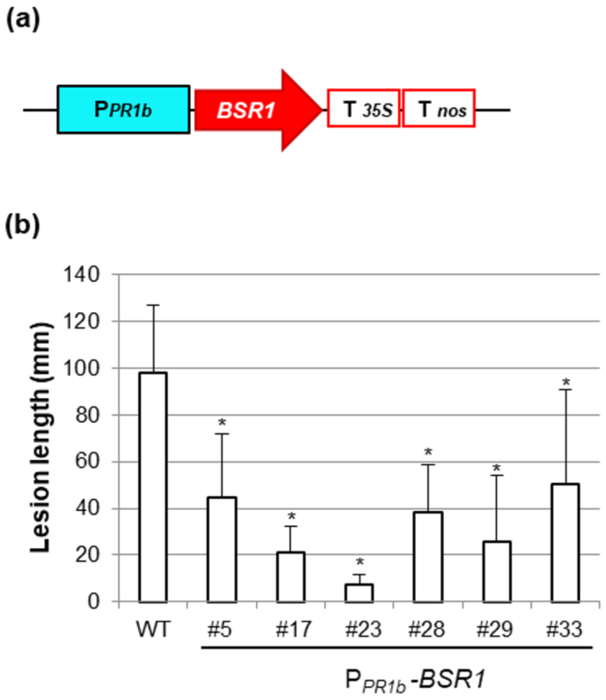 Plants 13 01138 g003