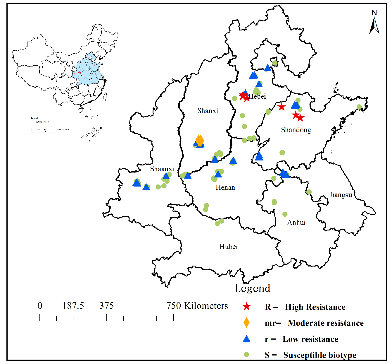 Plants 13 01139 g001