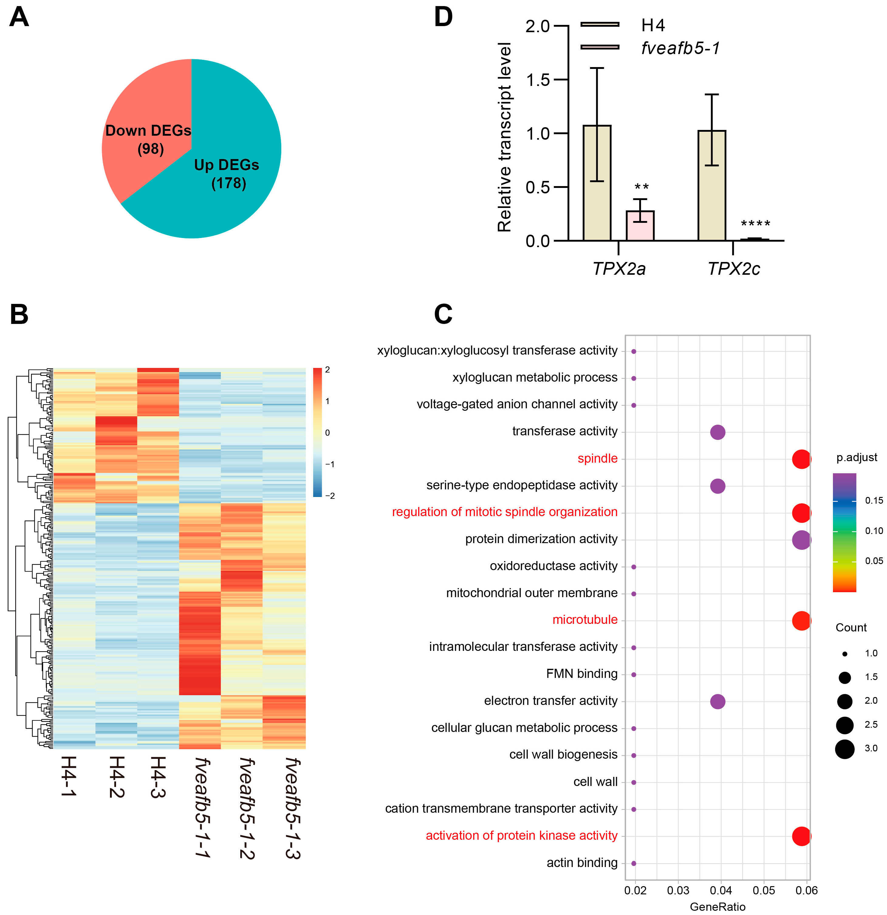 Plants 13 01142 g003