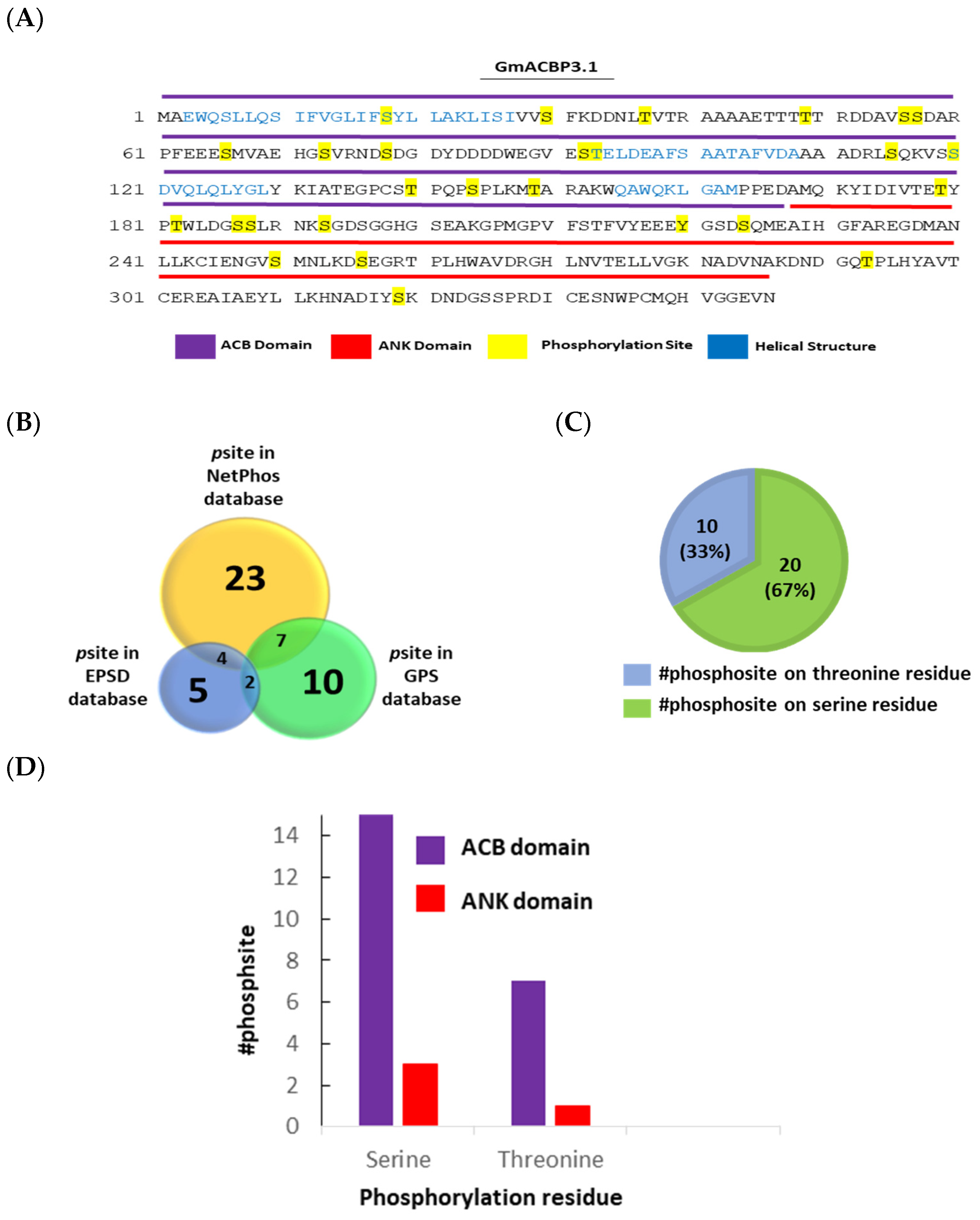 Interaction of Soybean (Glycine max (L.) Merr.) Class II
