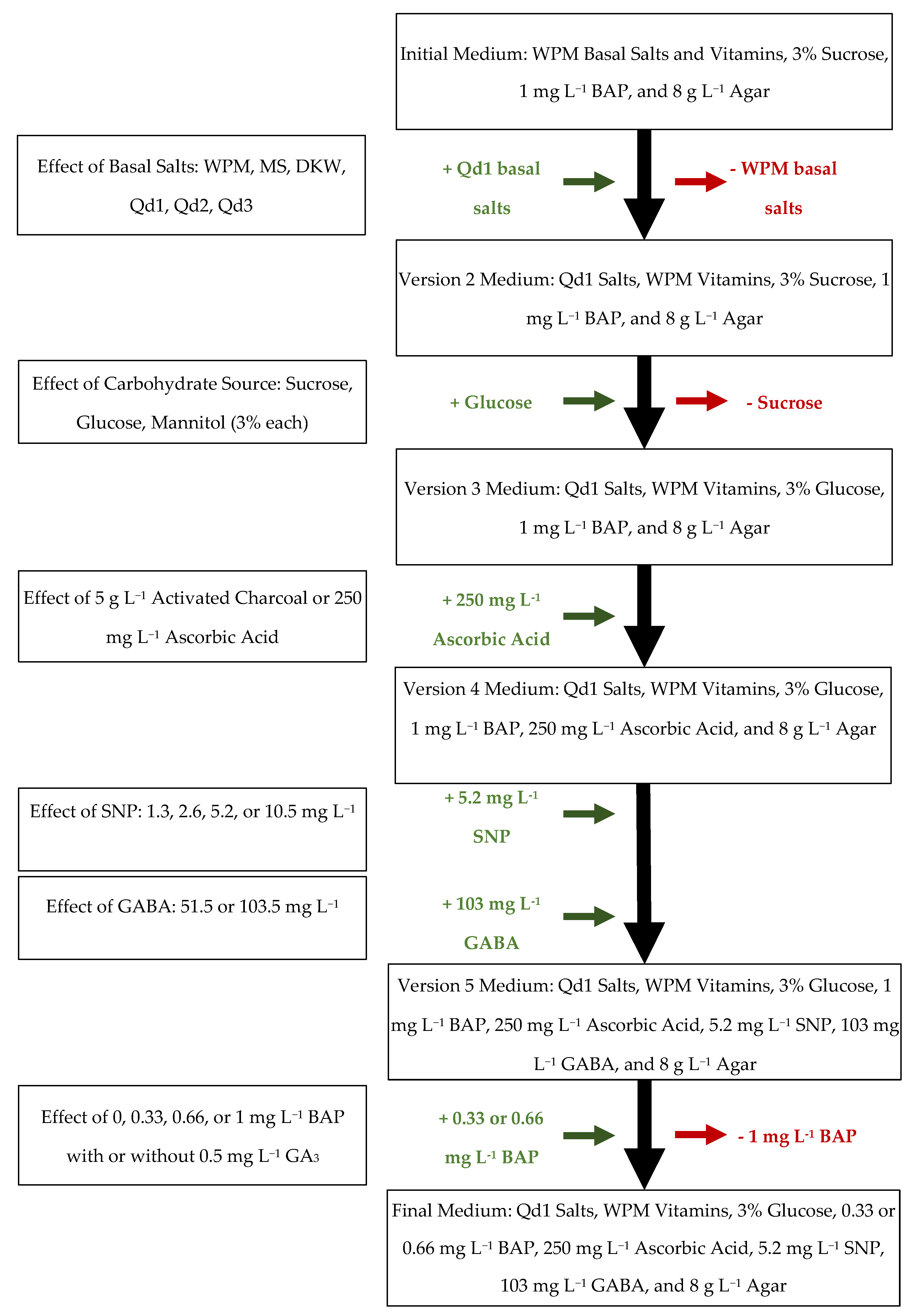 Plants 13 01148 g002