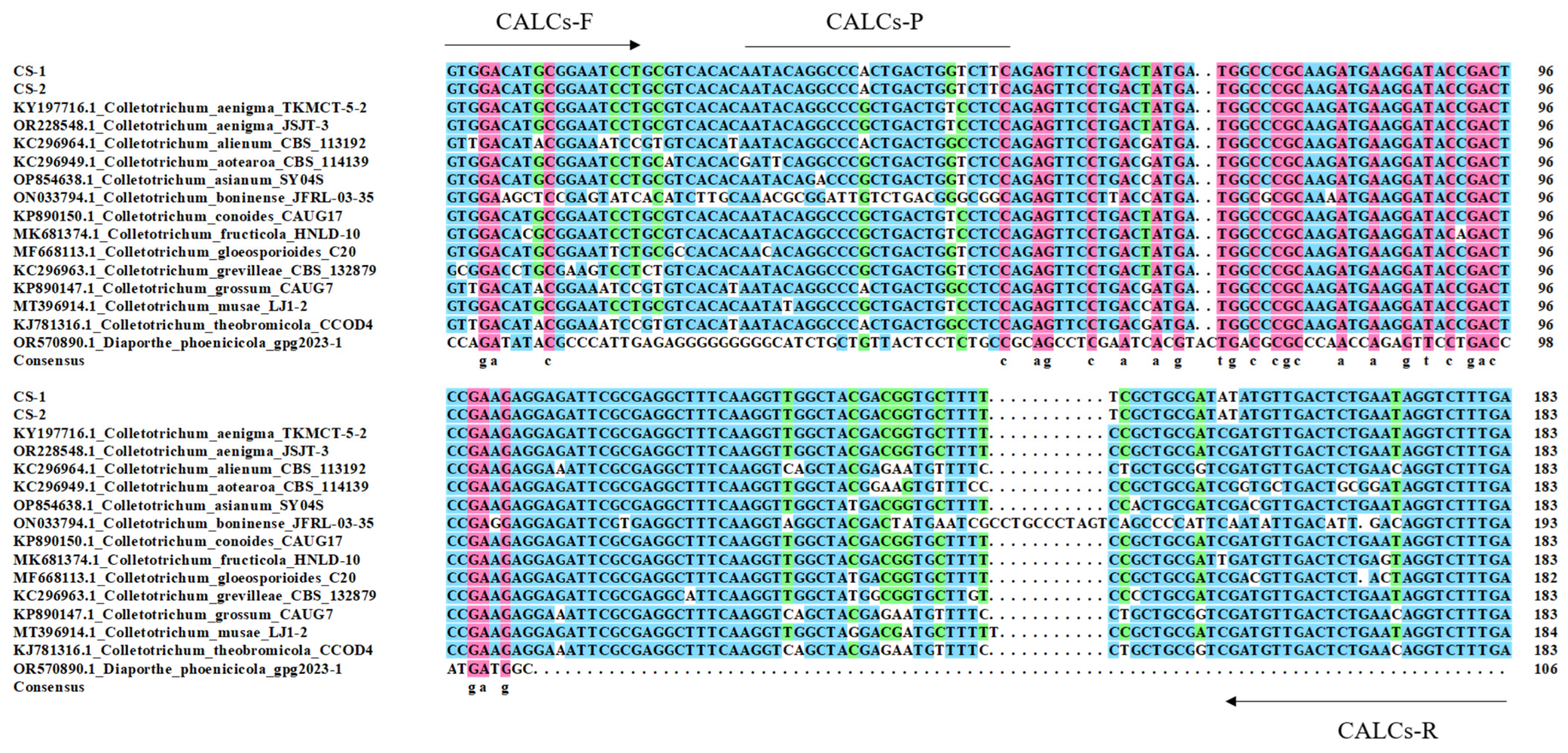Plants 13 01149 g001