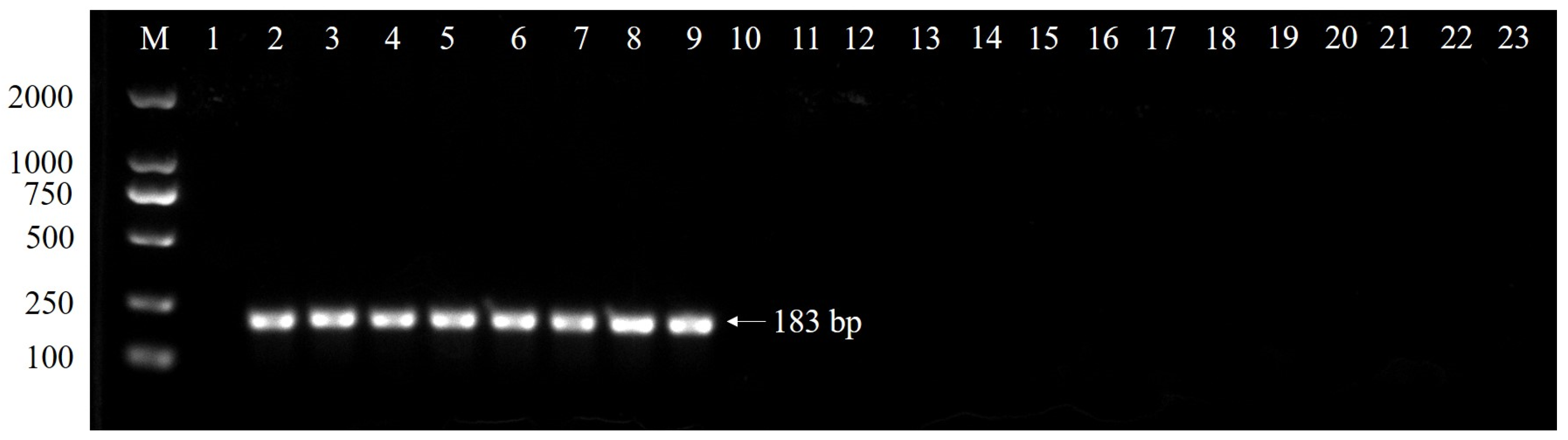 Plants 13 01149 g002