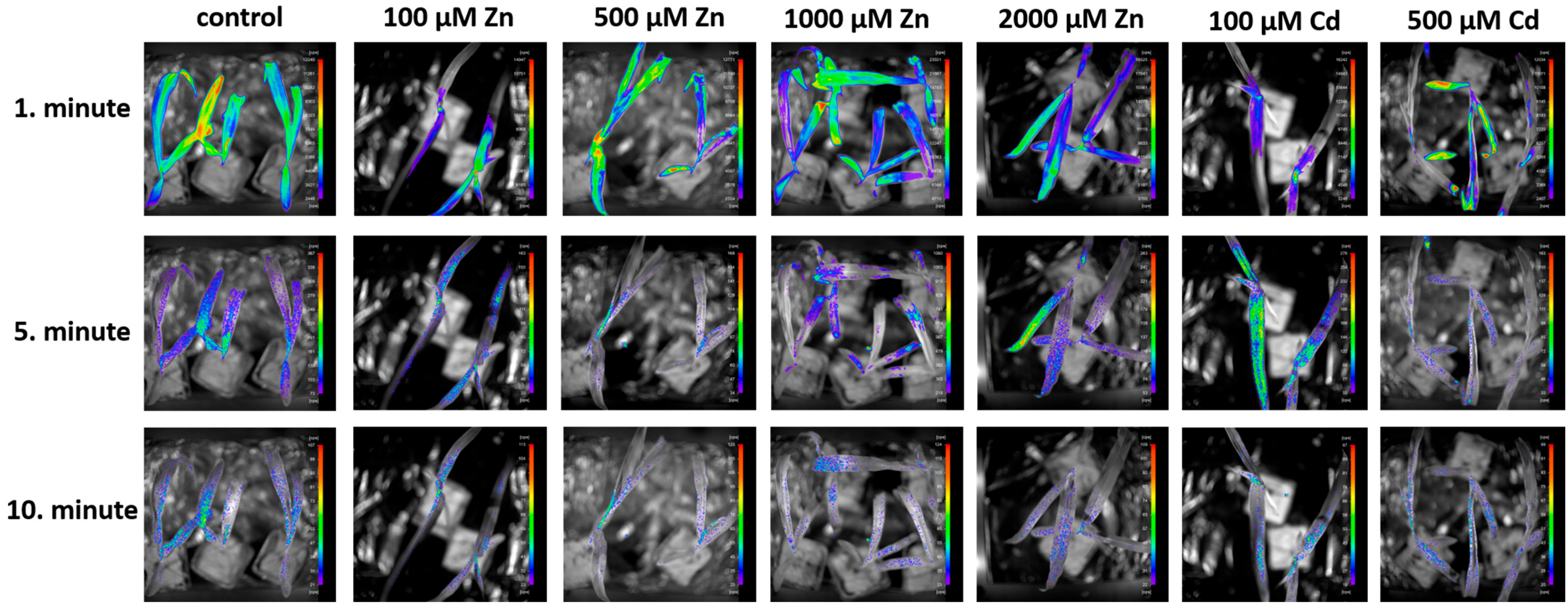 Plants 13 01150 g005