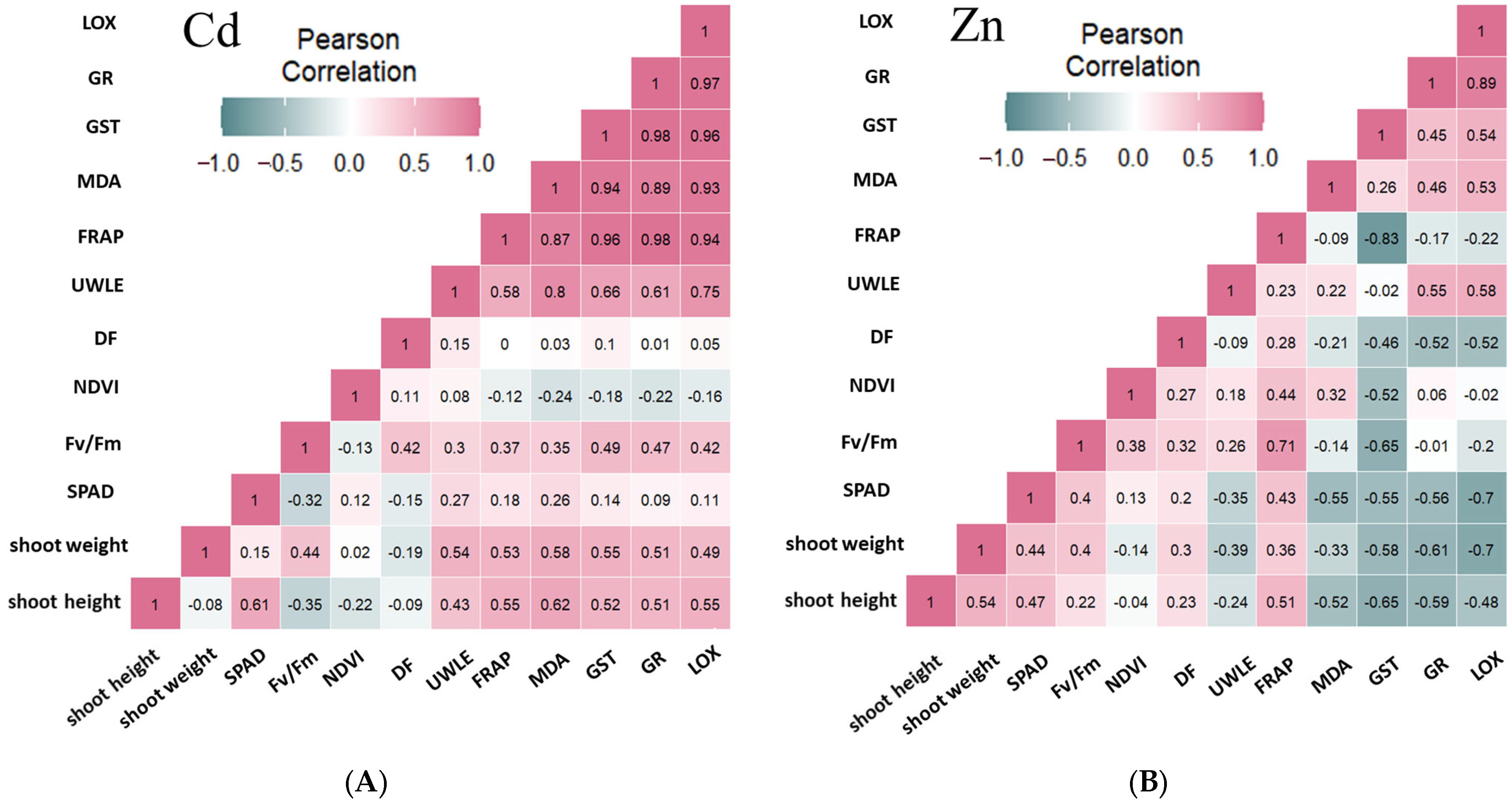 Plants 13 01150 g010