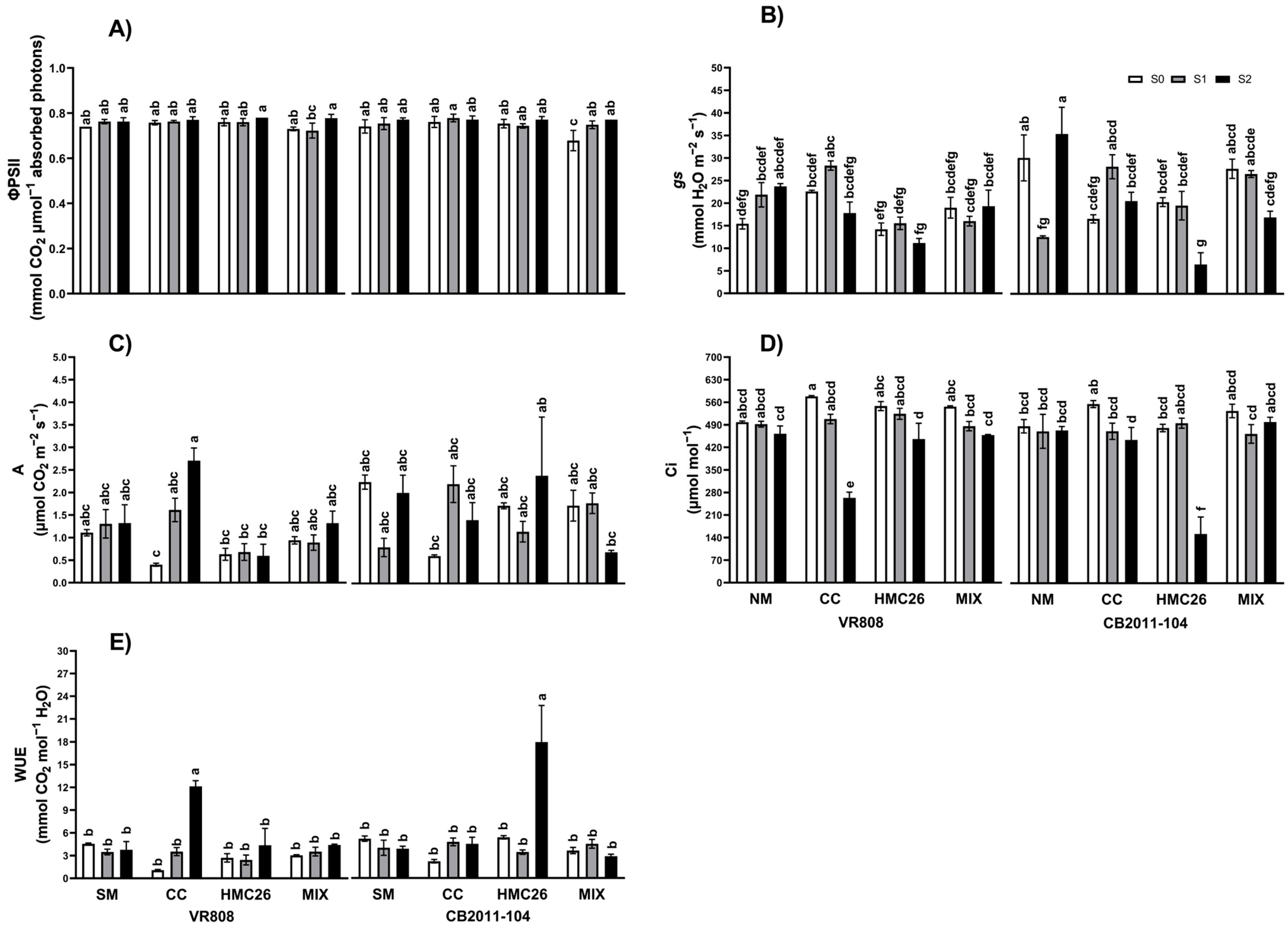Plants 13 01153 g001