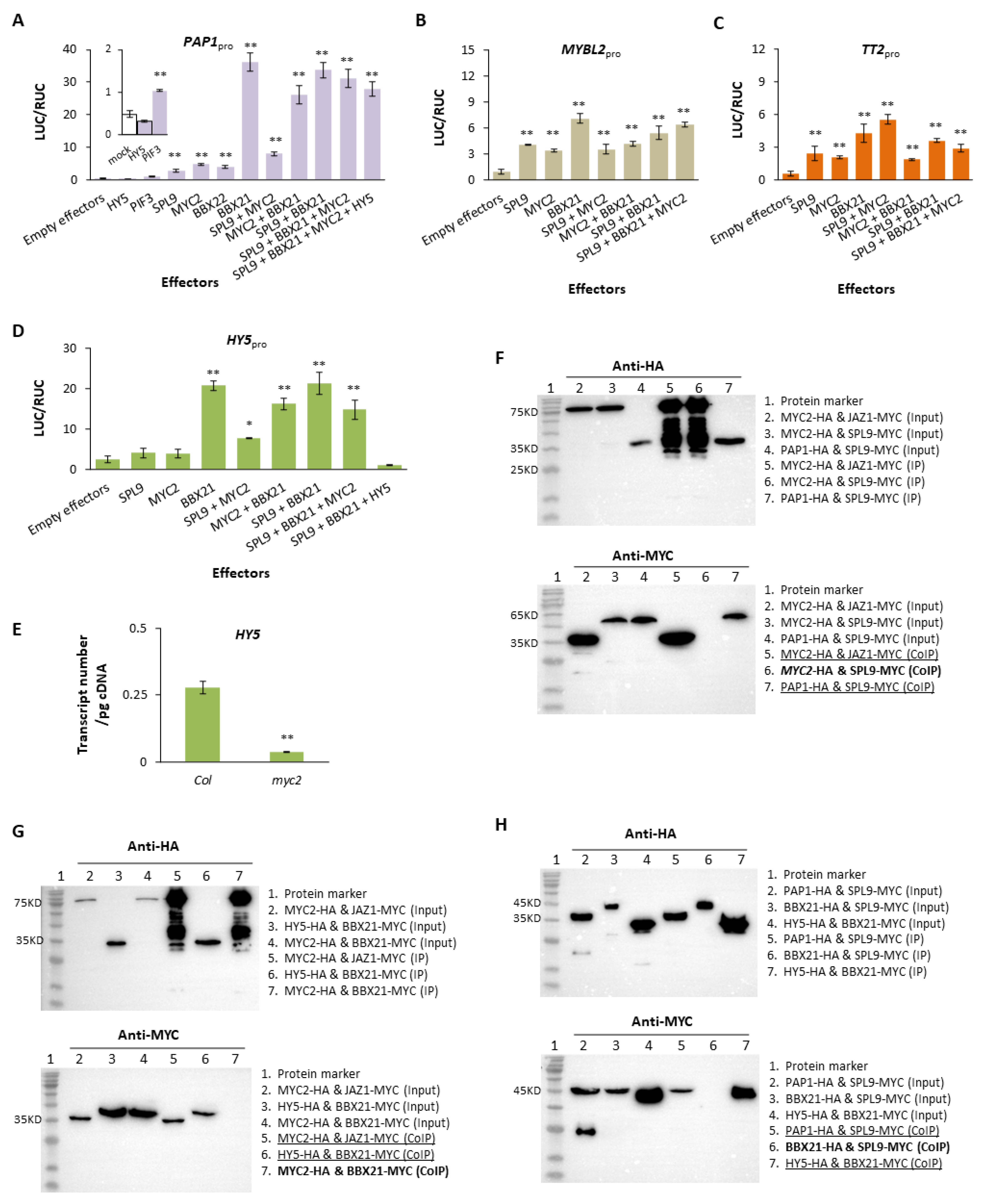 Plants 13 01156 g004
