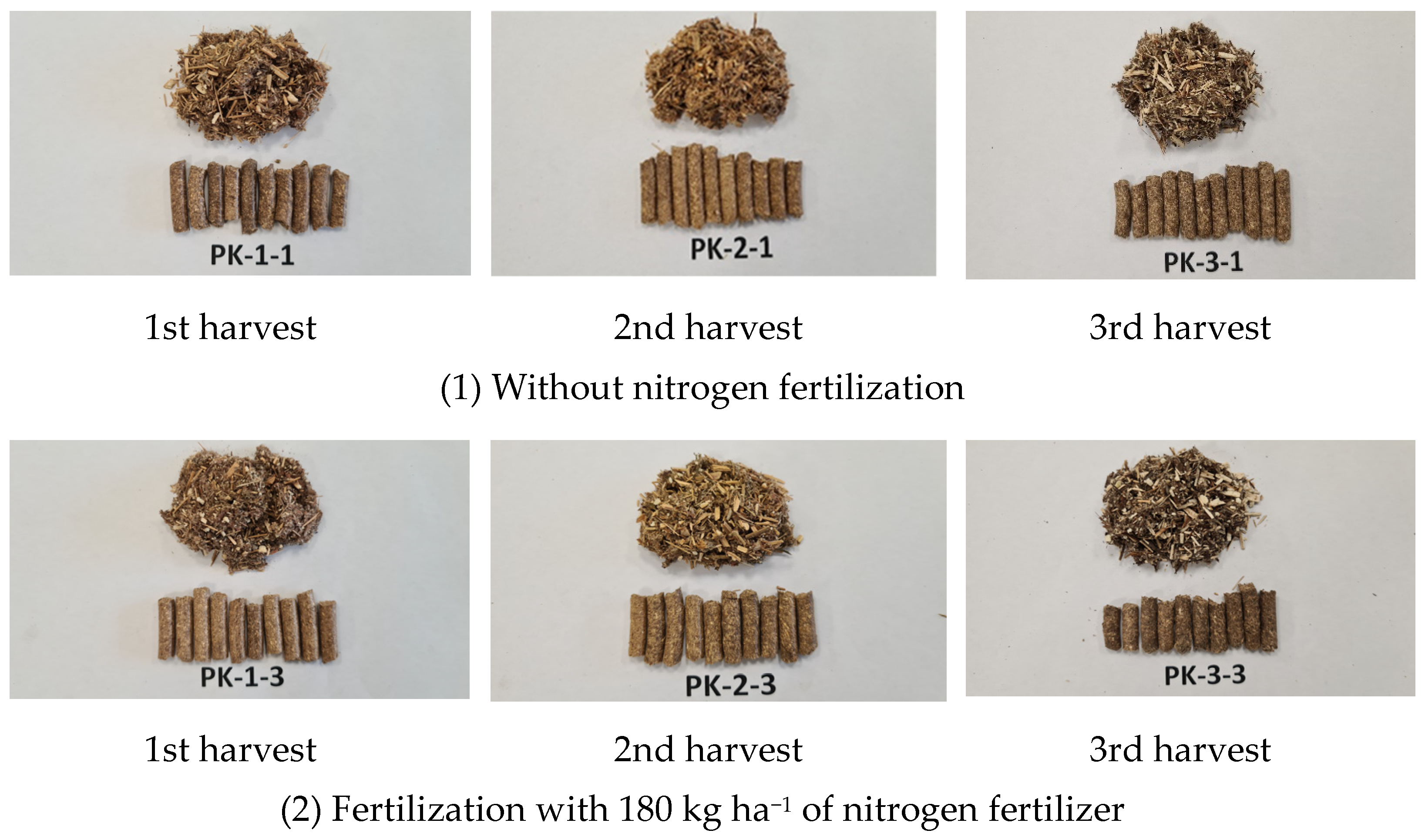 Plants 13 01158 g003