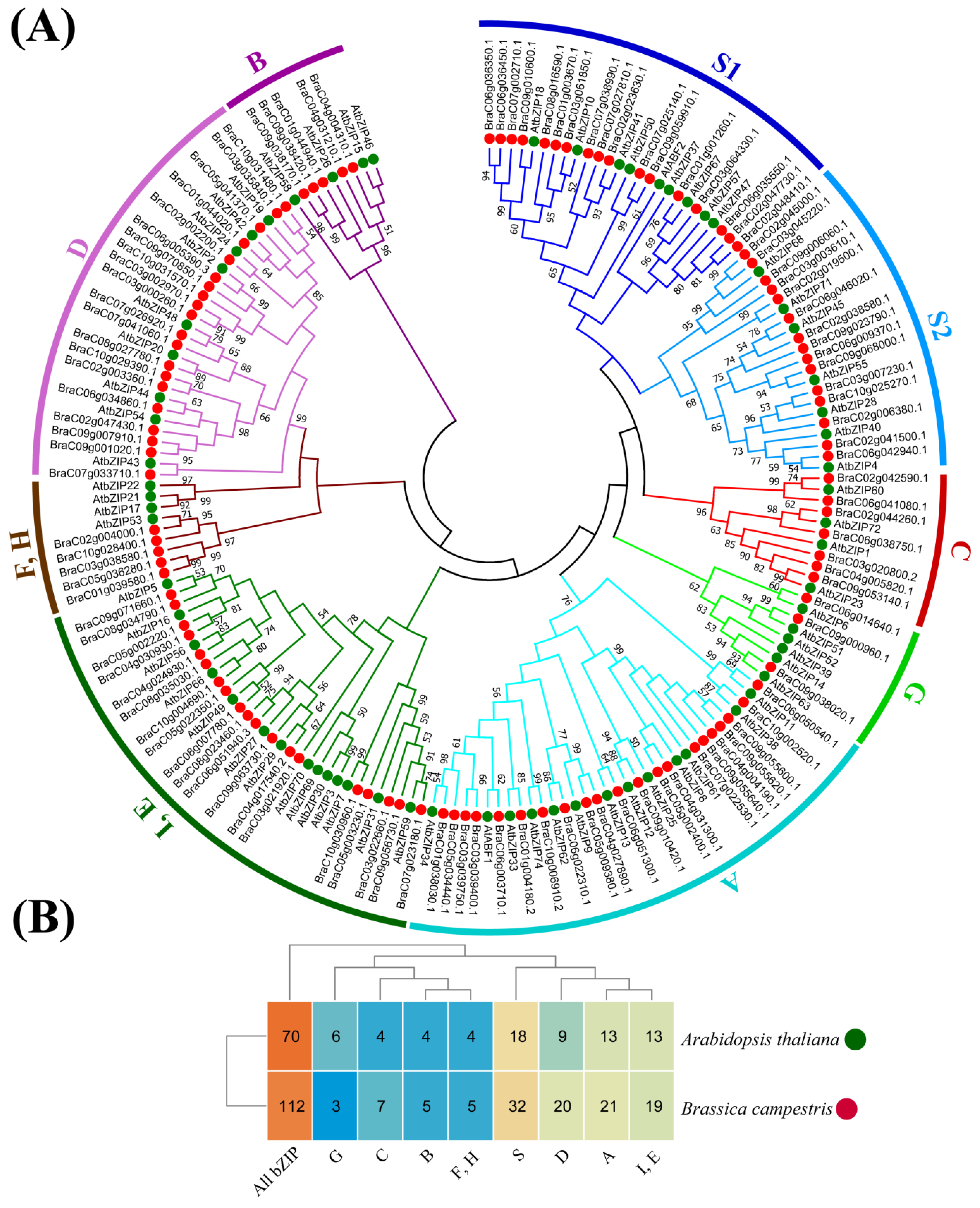 Plants 13 01160 g001