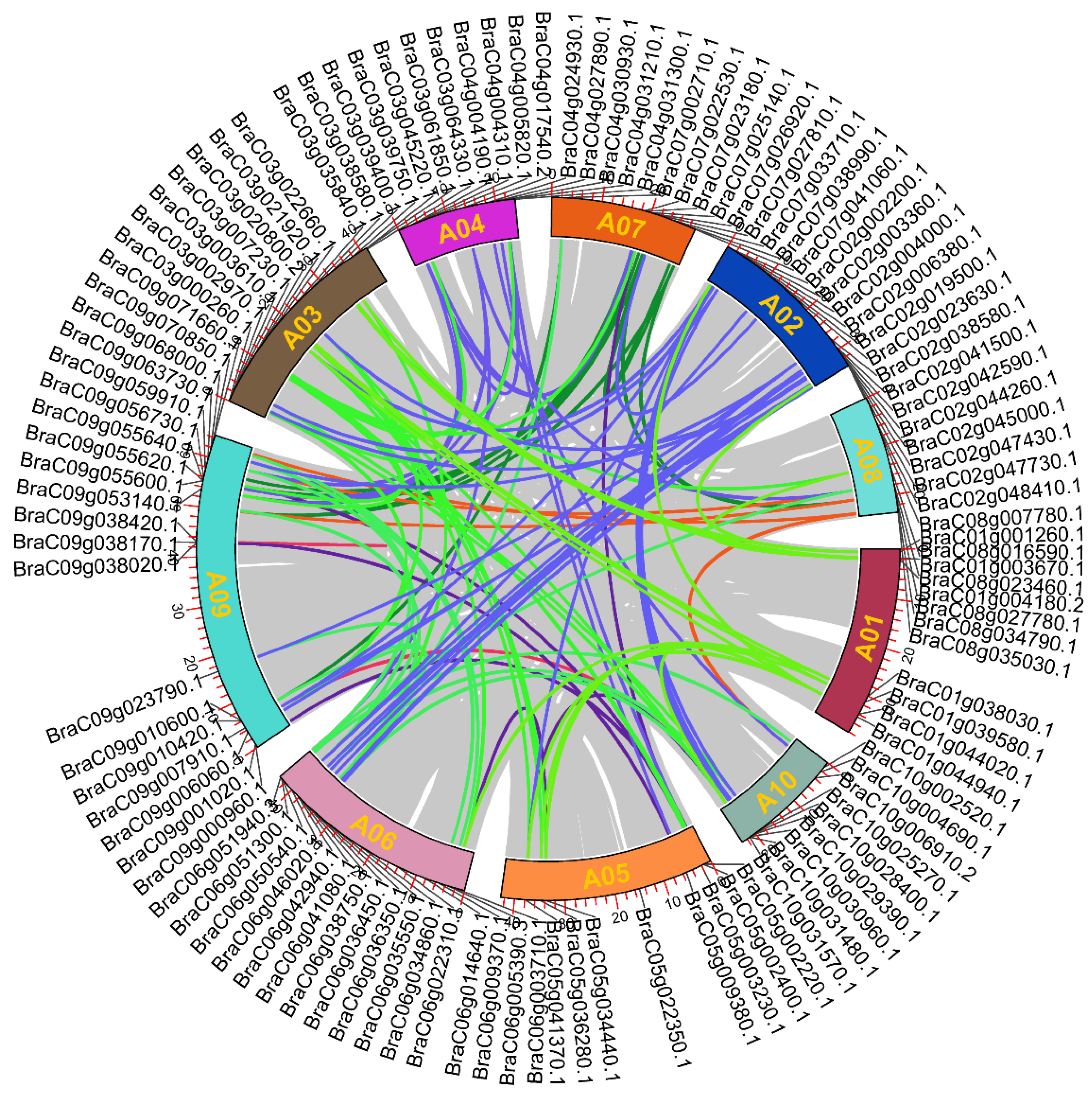 Plants 13 01160 g002