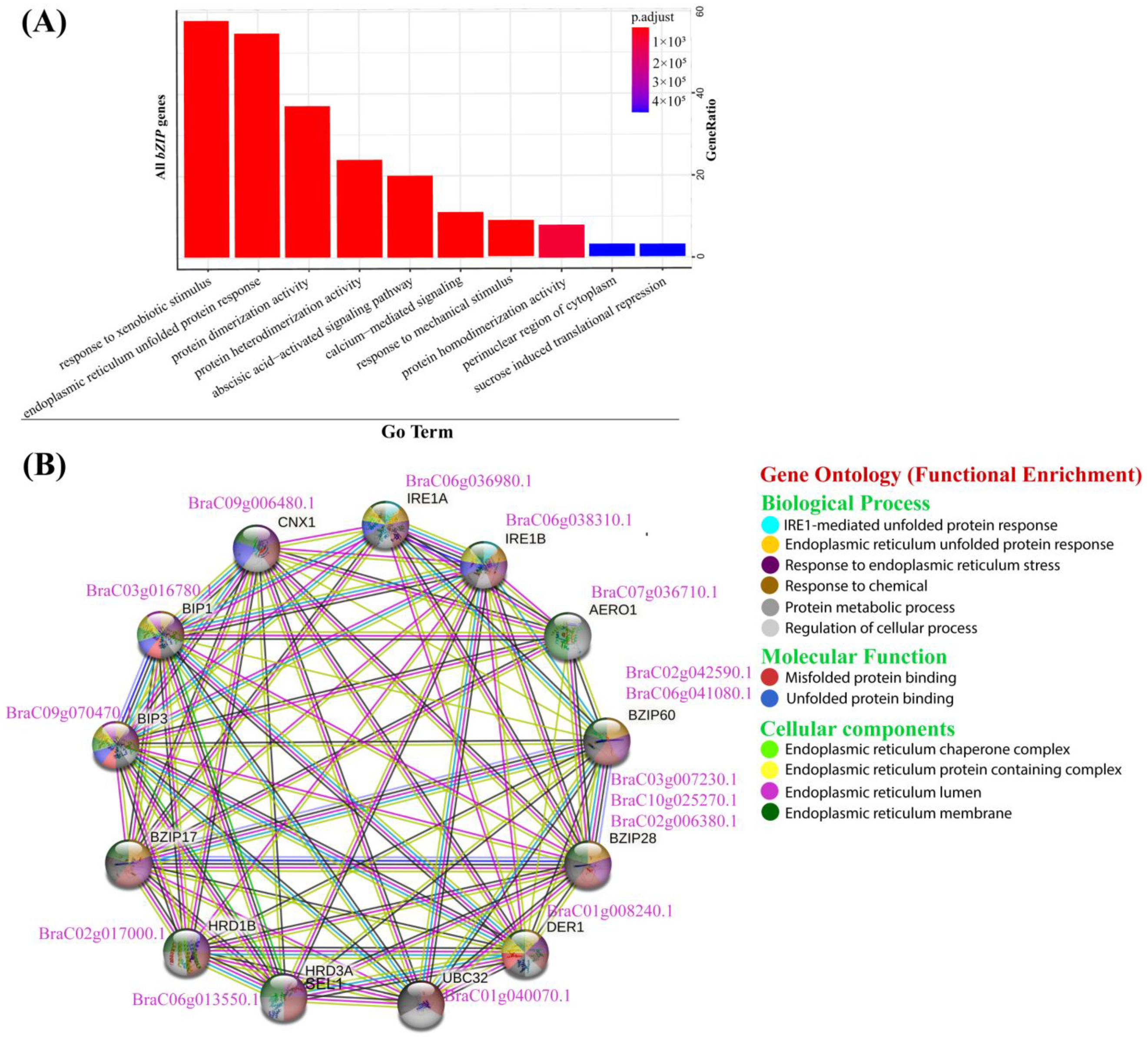 Plants 13 01160 g004