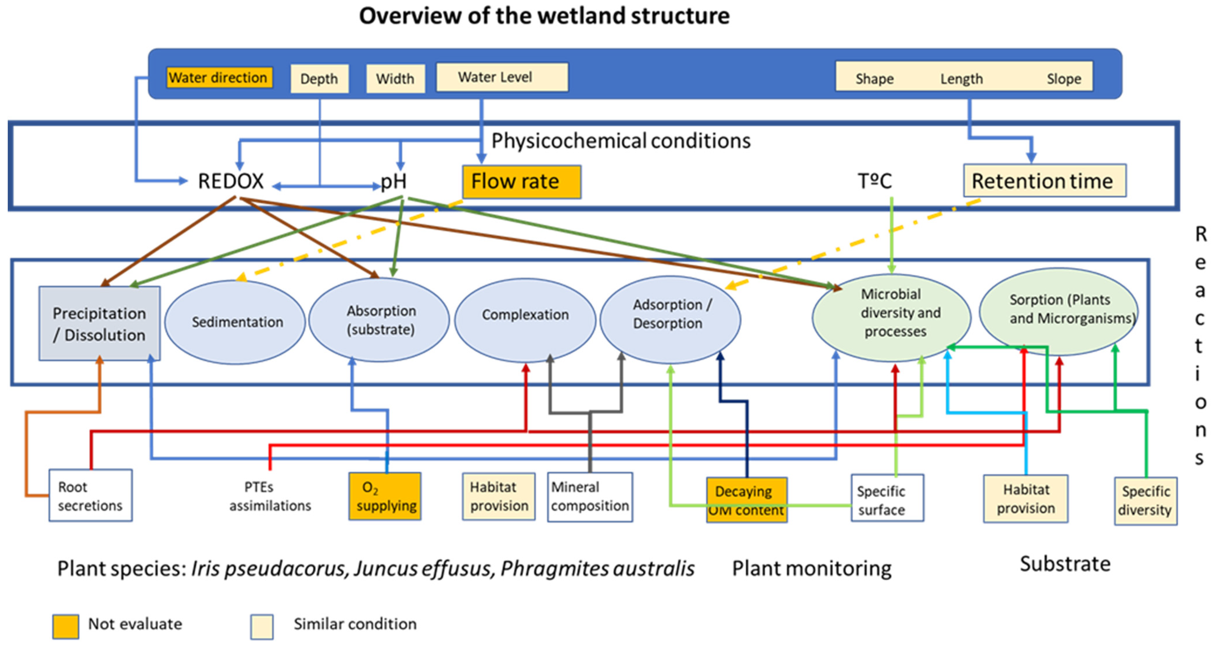 Plants 13 01161 g002 Plants 13 01161 g002