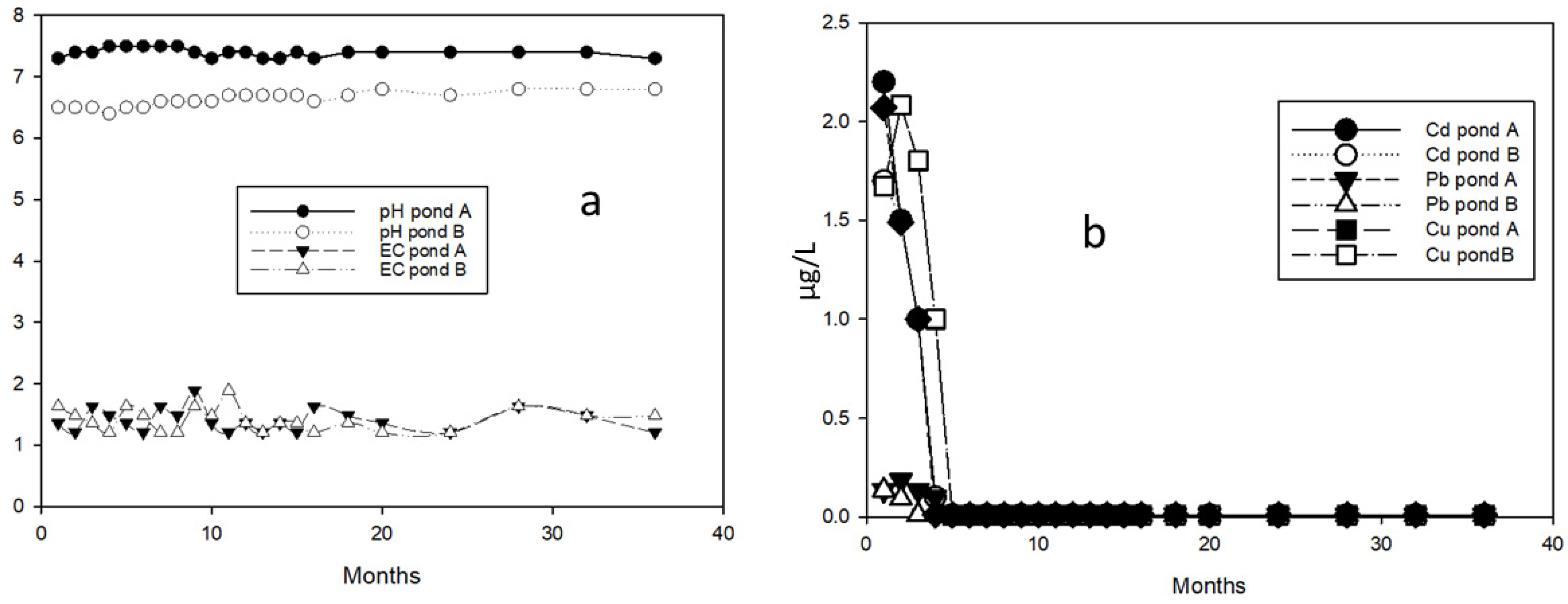 Plants 13 01161 g003 Plants 13 01161 g003