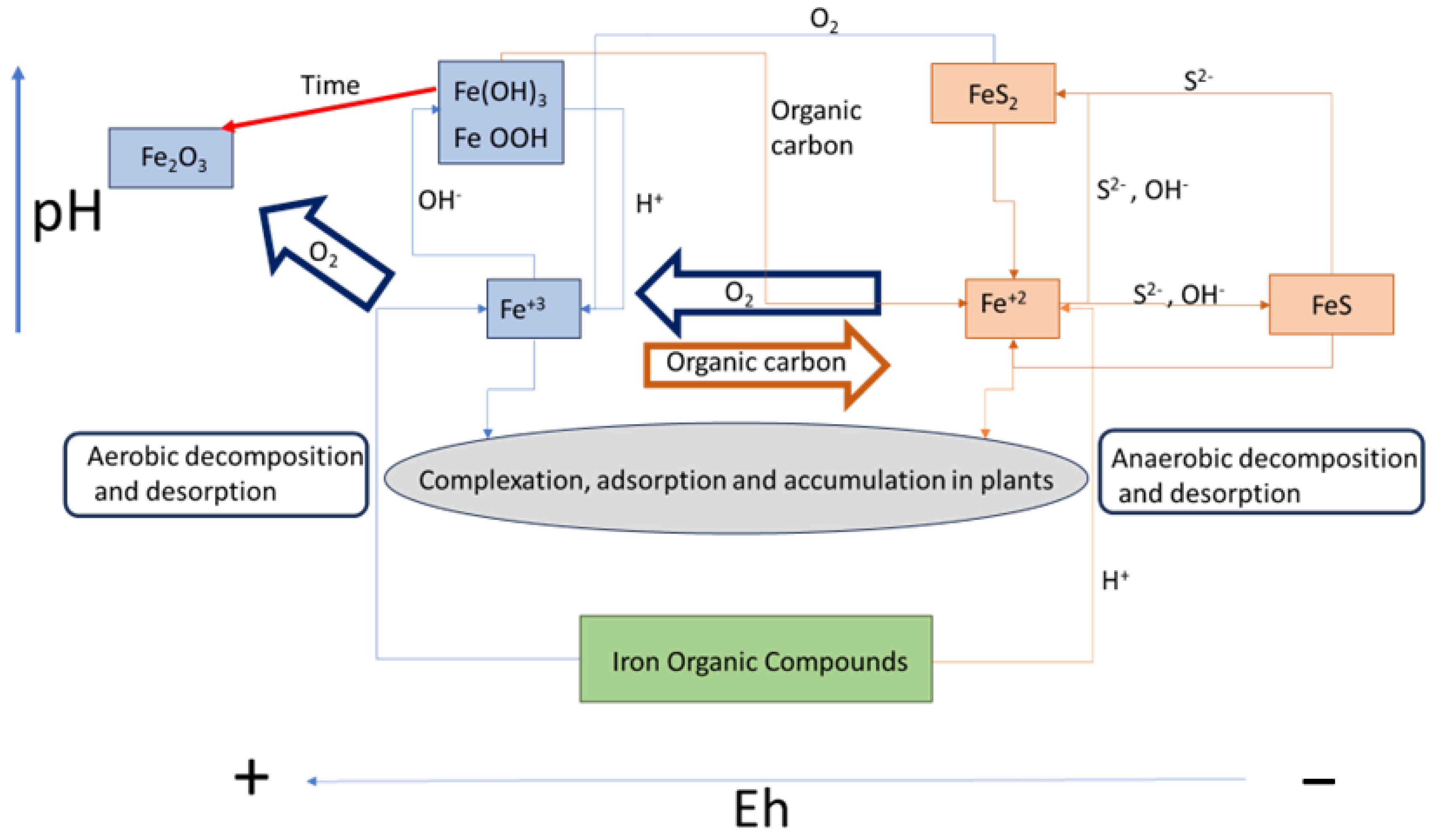 Plants 13 01161 g006 Plants 13 01161 g006