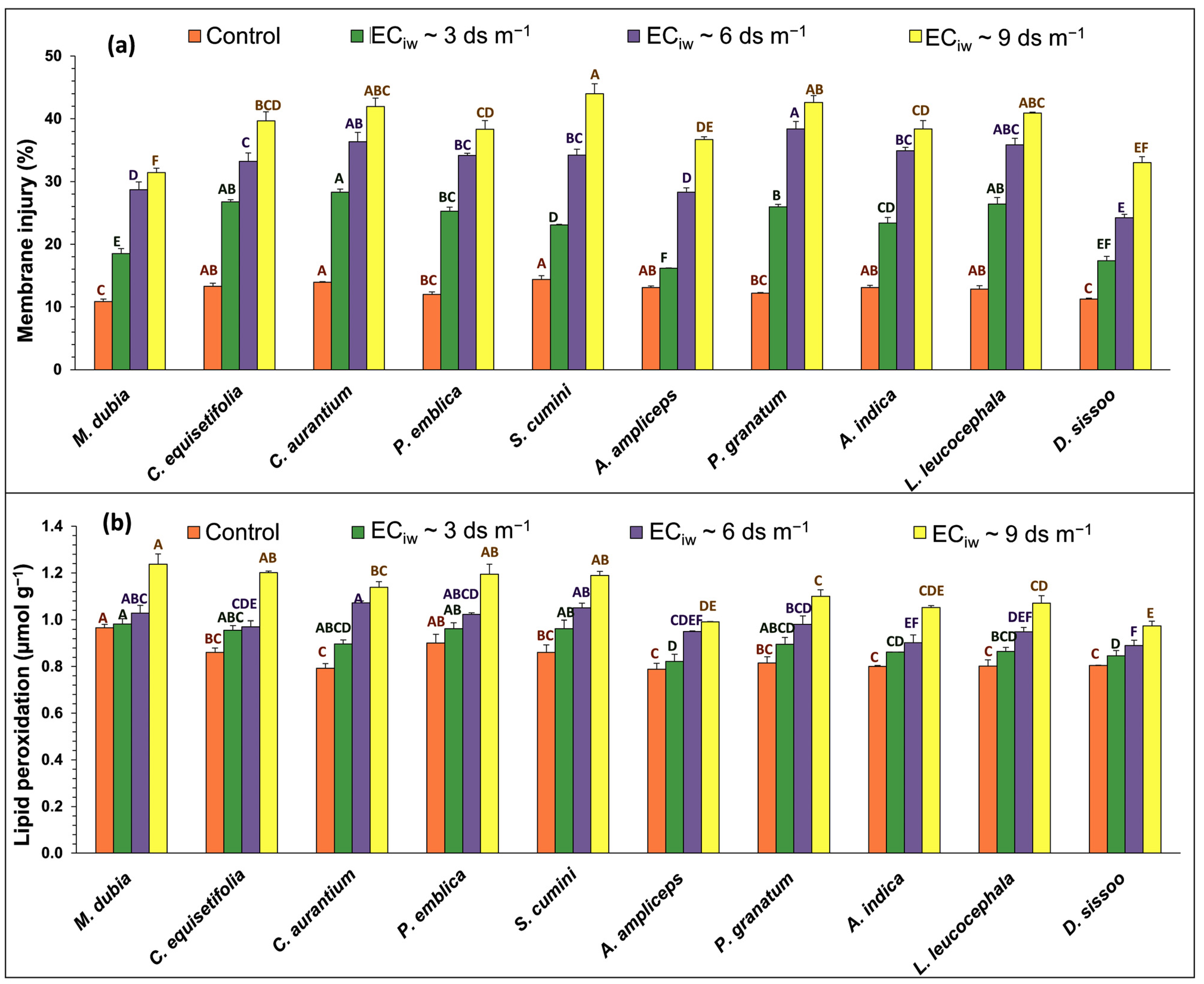 Plants 13 01162 g002